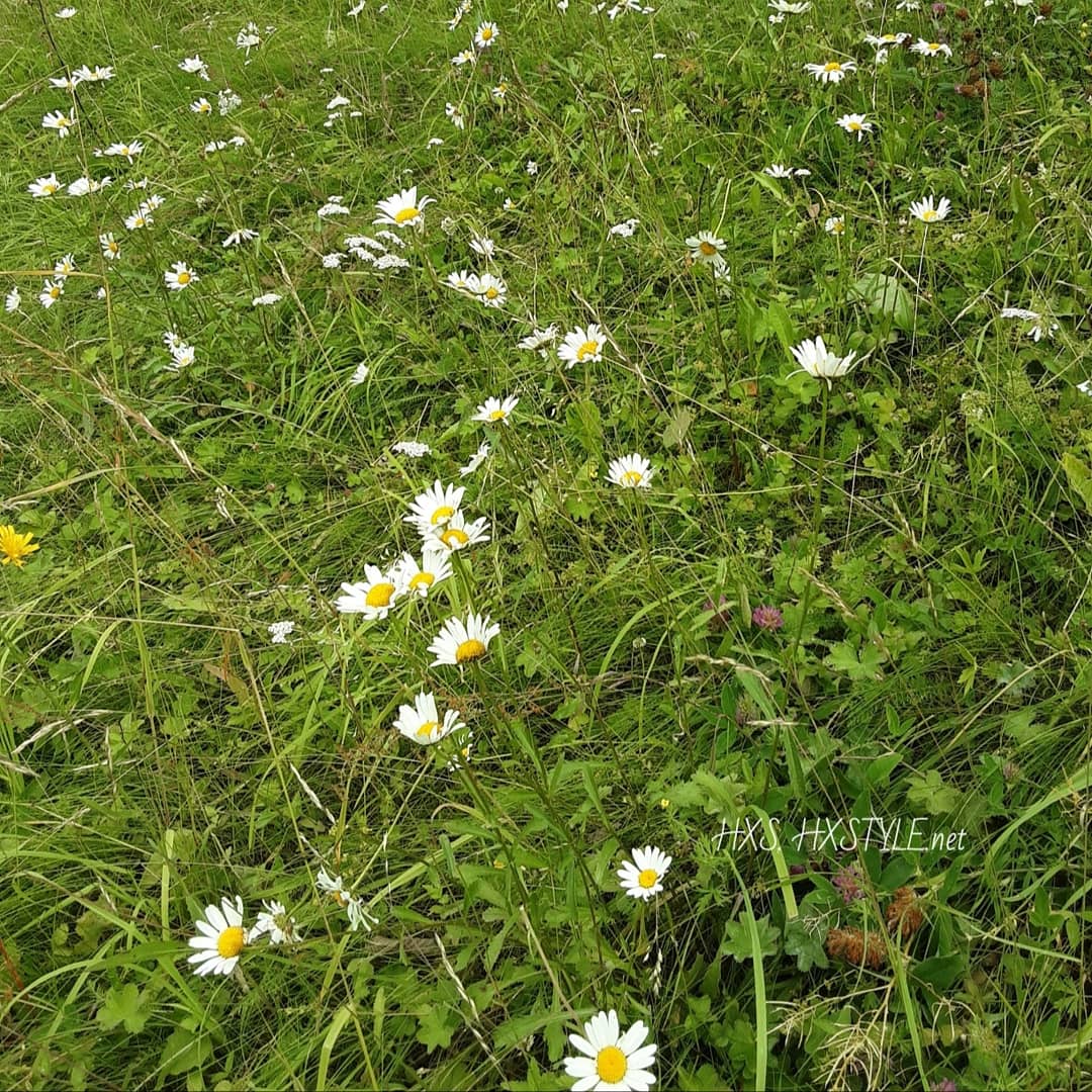 IMG_20190710_103839_254