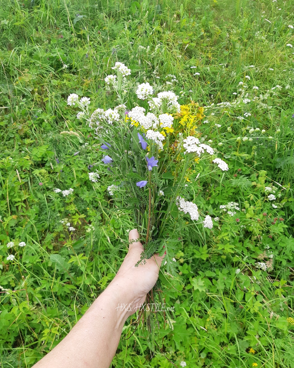 IMG_20190710_104420_829