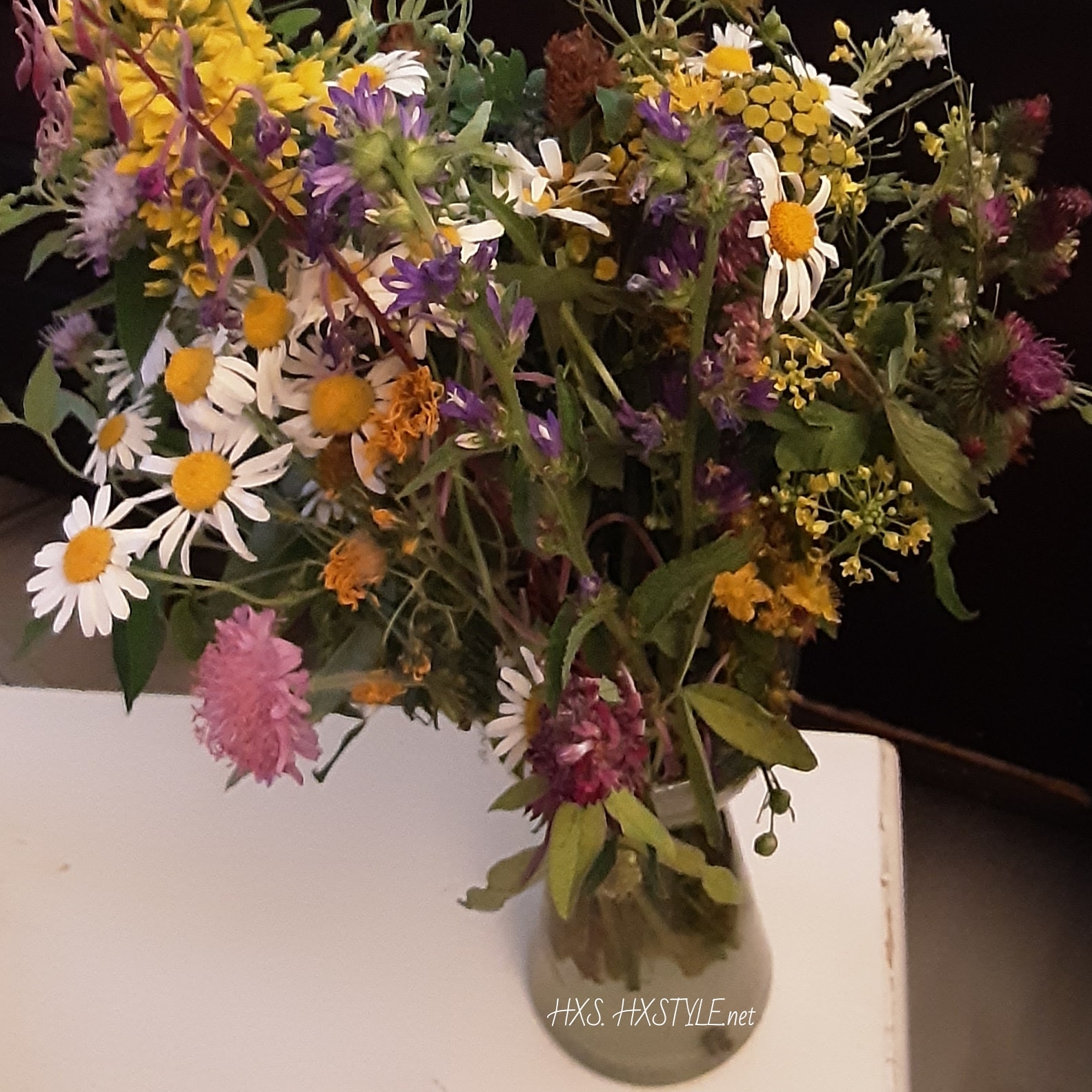 IMG_20190711_204818_413