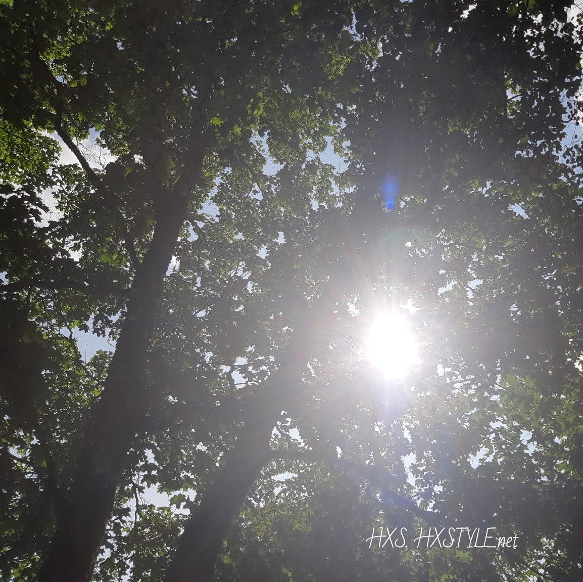 IMG_20190721_155718_741