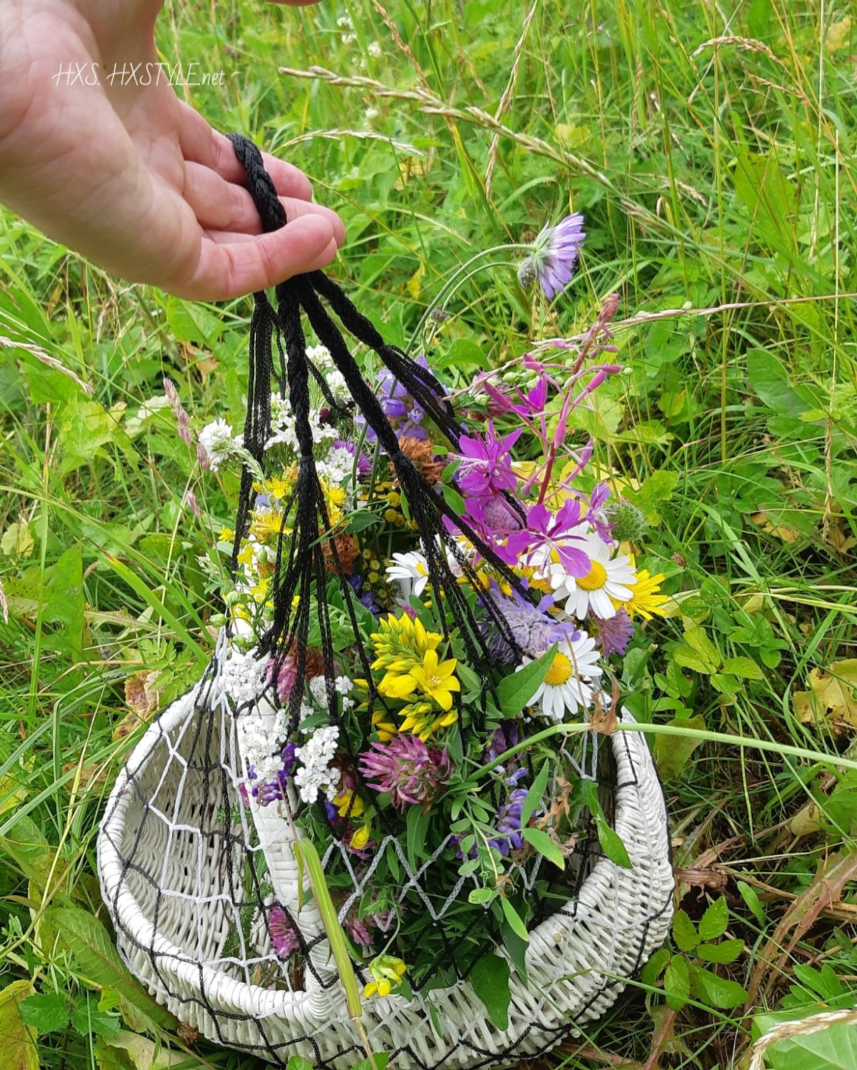 IMG_20190722_084711_381