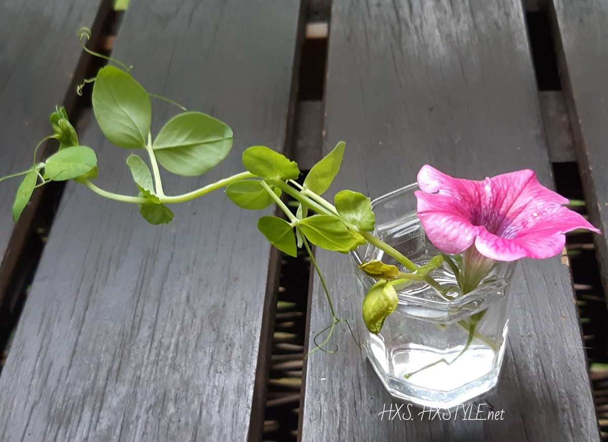 IMG_20190724_184257_307