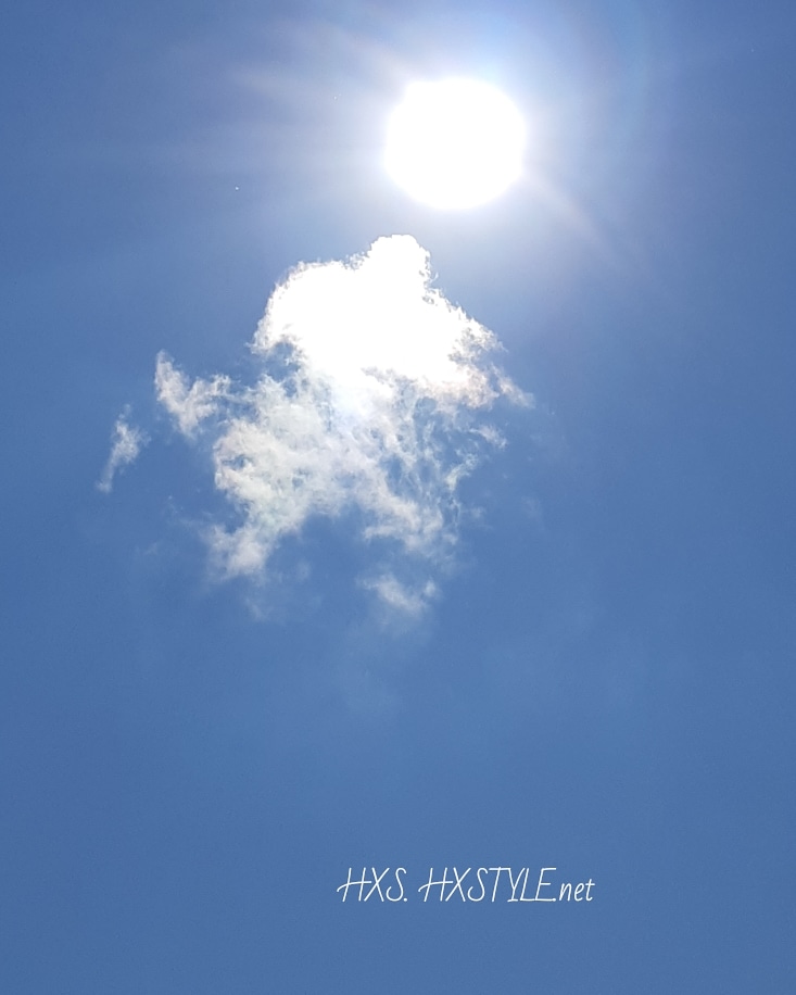 IMG_20190728_142752_919