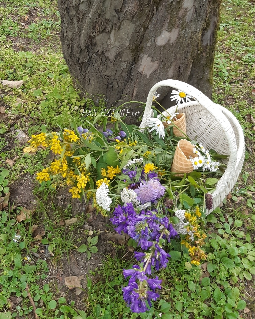 IMG_20190830_092923_719