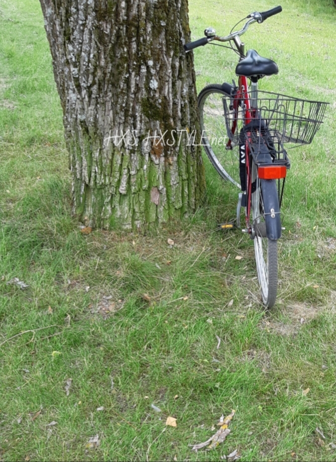 20190901_131245.jpg