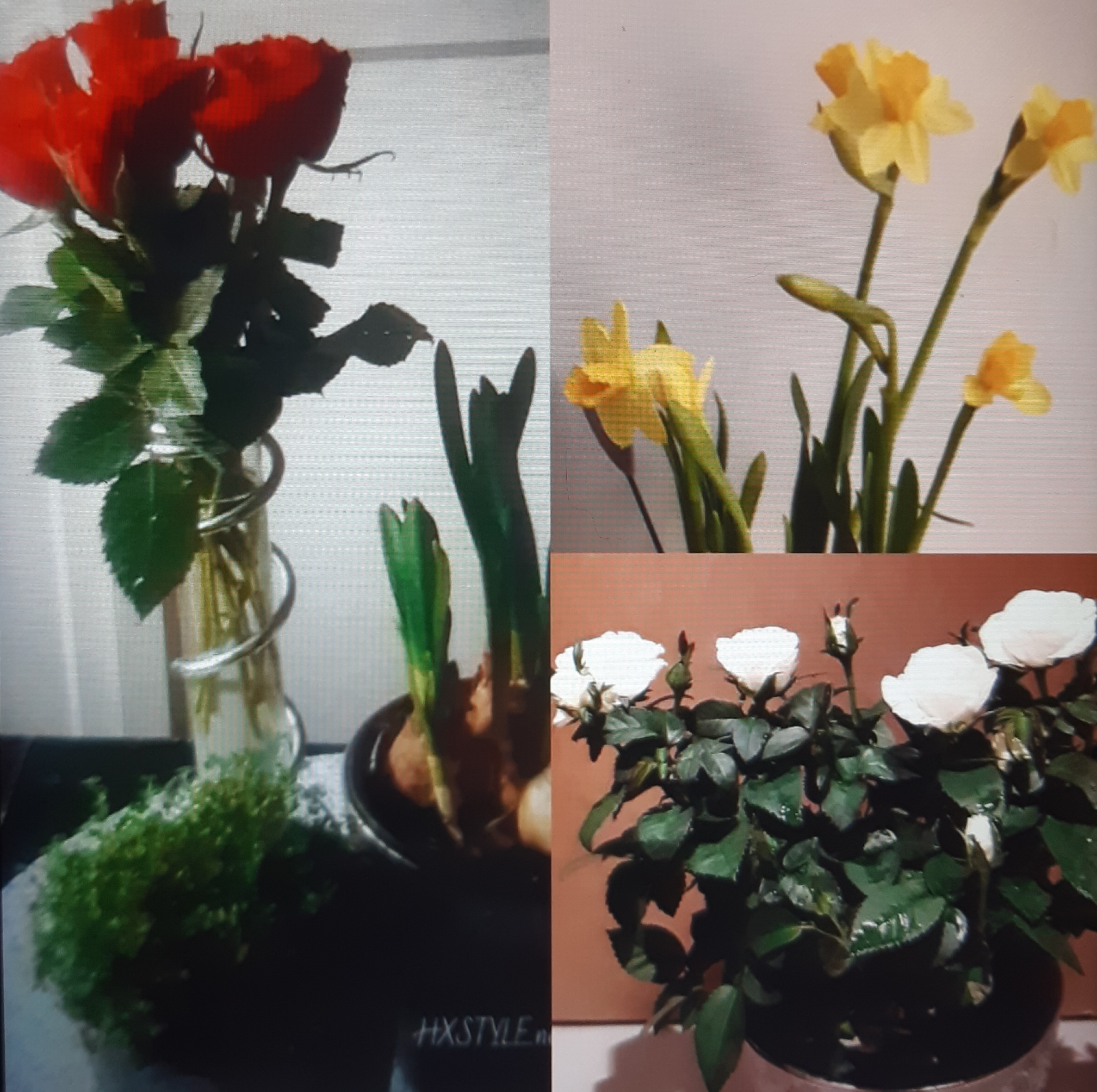20191028_121142