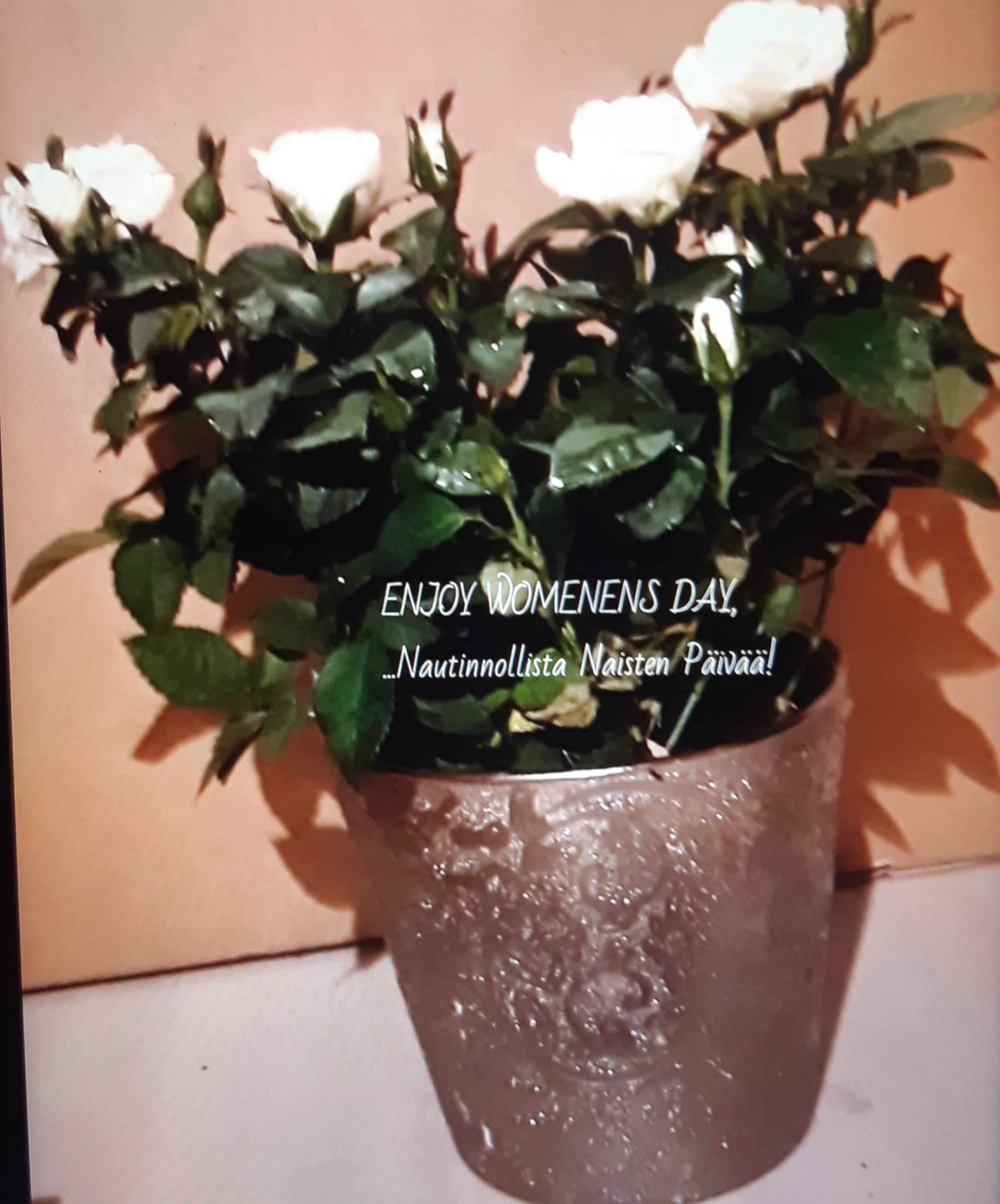 20191028_121201