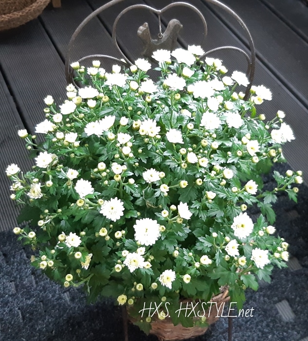 IMG_20190815_102808_652