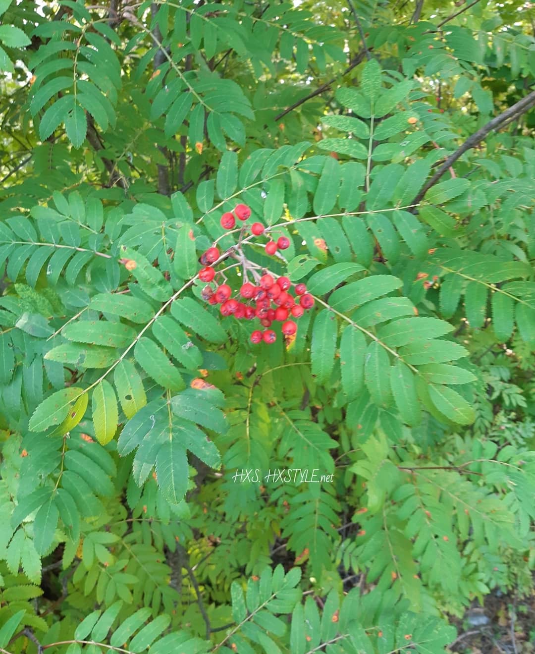 IMG_20190829_195313_954