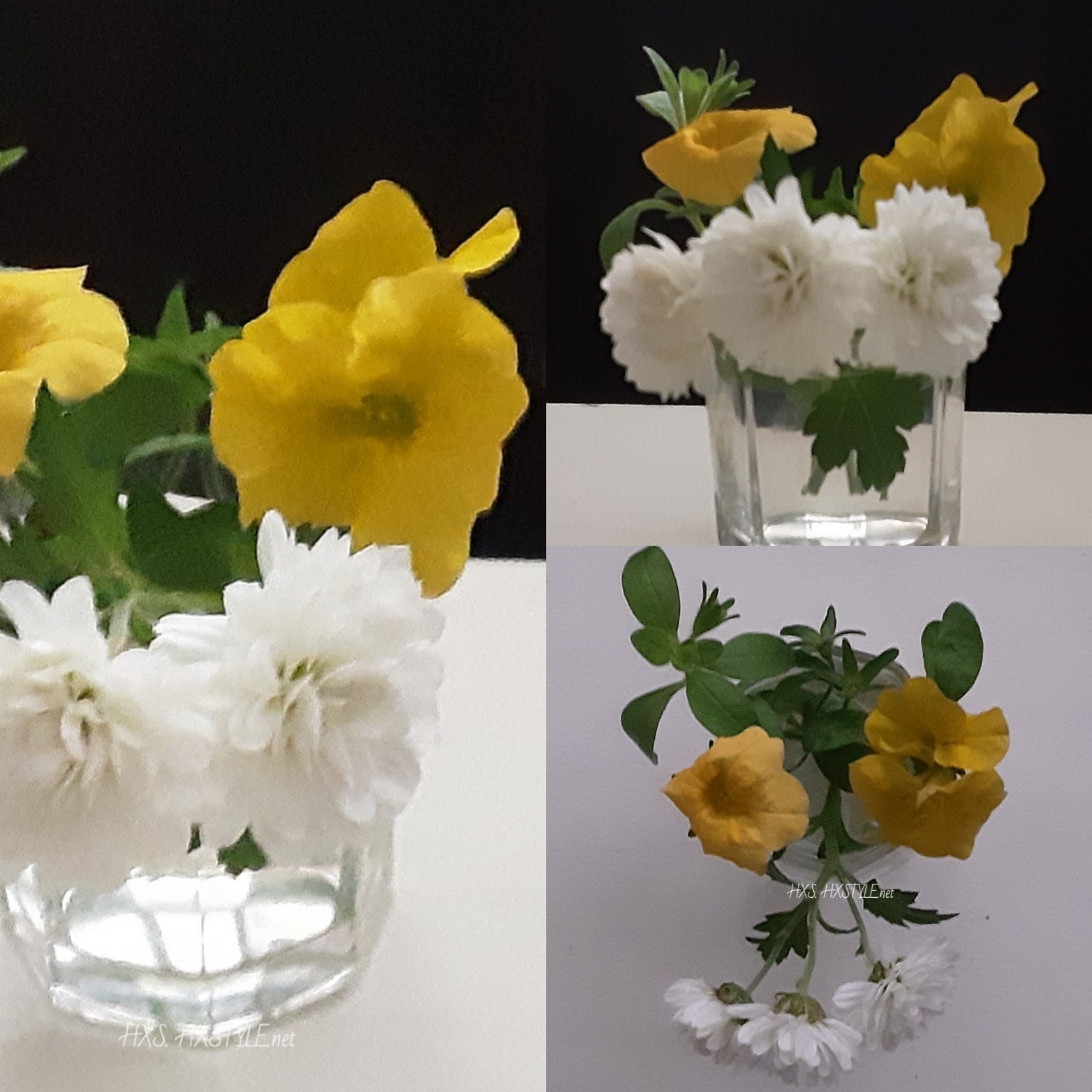 IMG_20190919_152657_305