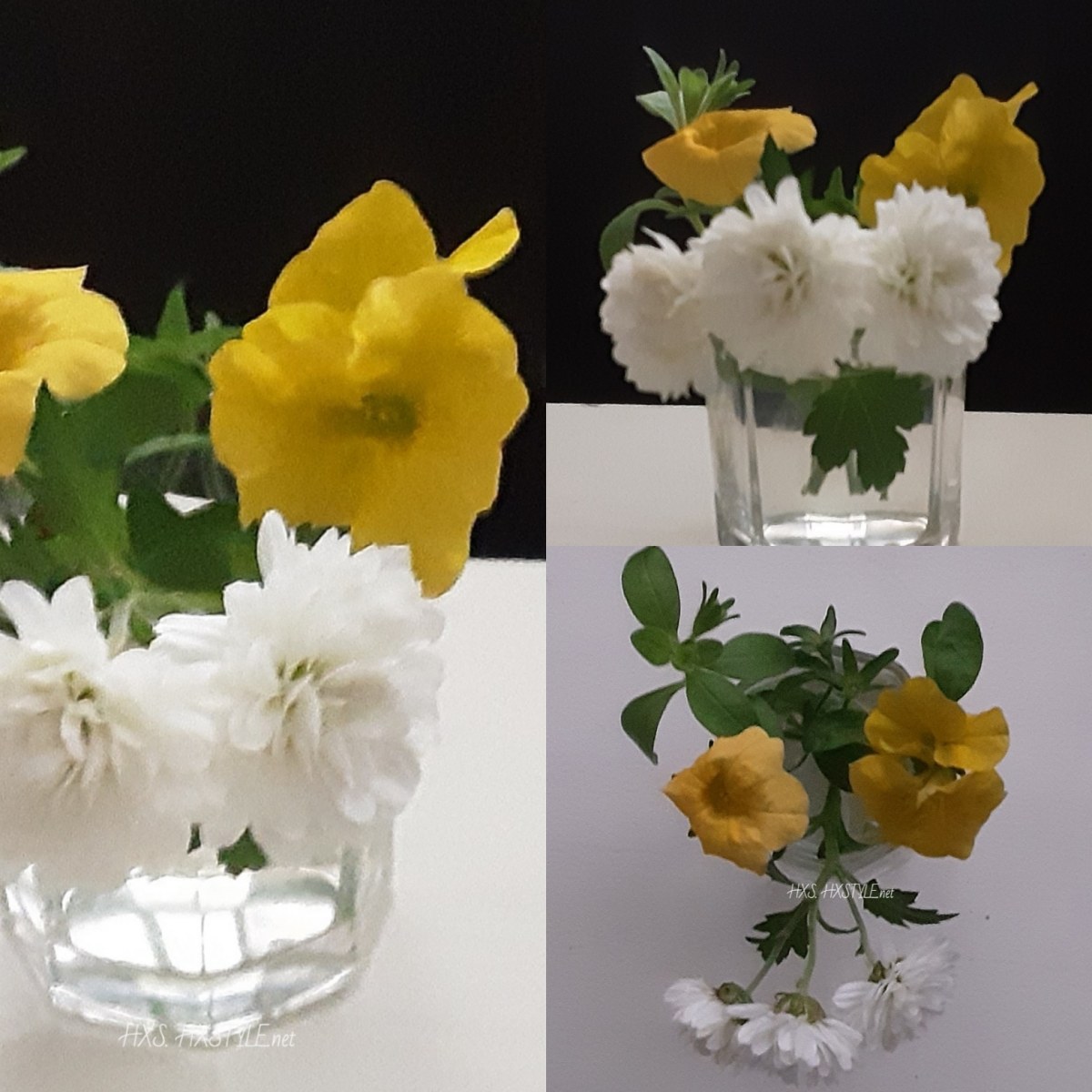 IMG_20190919_152657_305