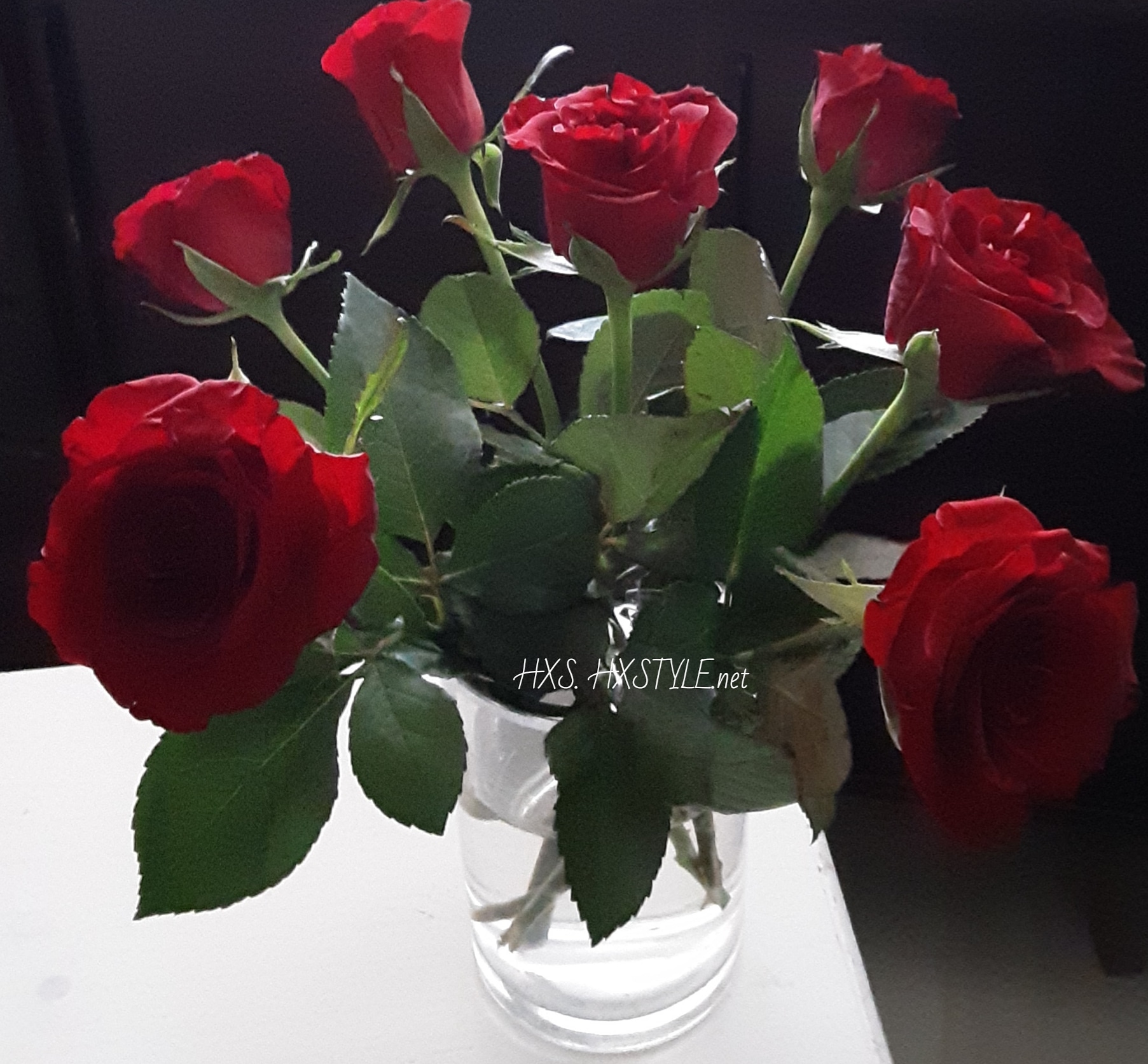 IMG_20191006_100528_226