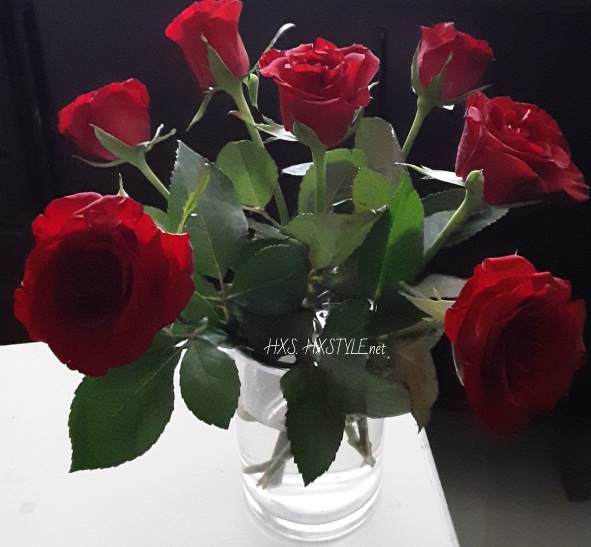 IMG_20191006_100528_226