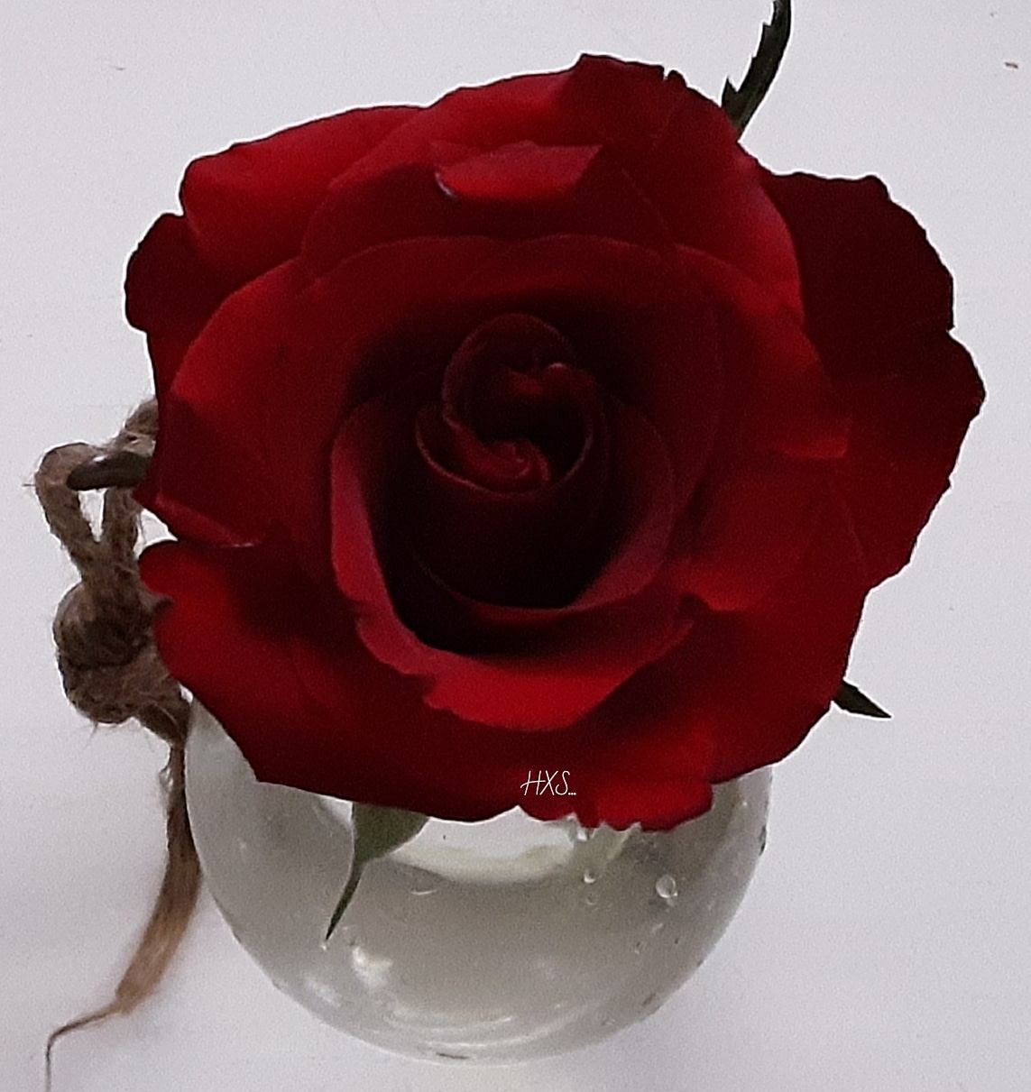 IMG_20191006_101057_109