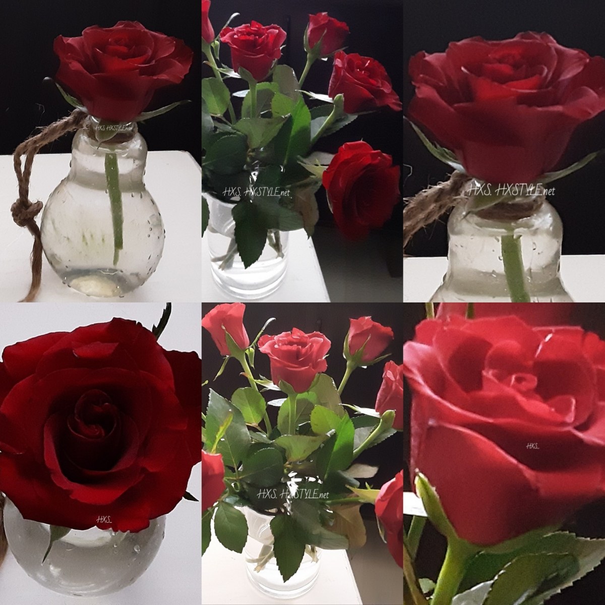 IMG_20191006_102148_235