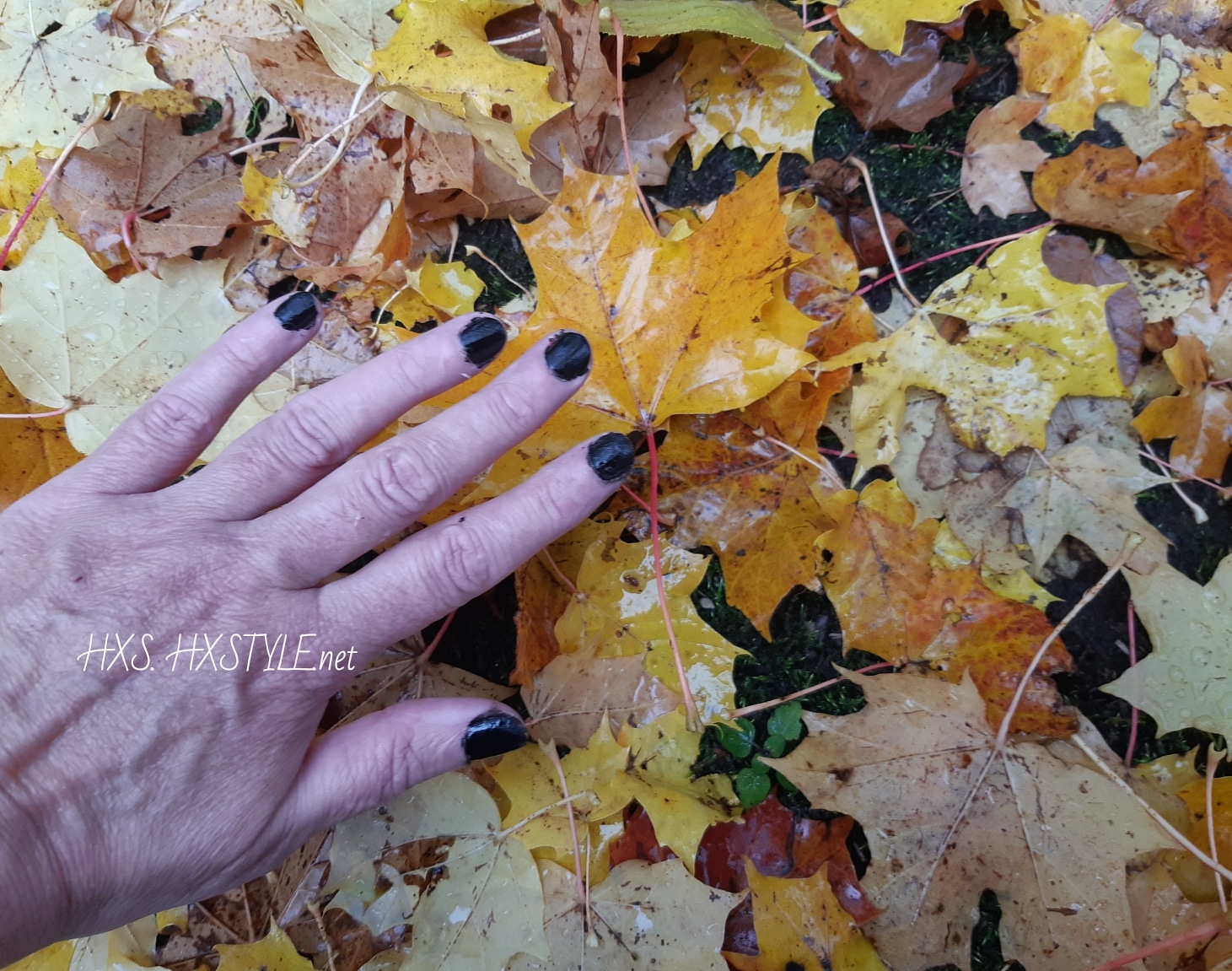 IMG_20191013_094822_916