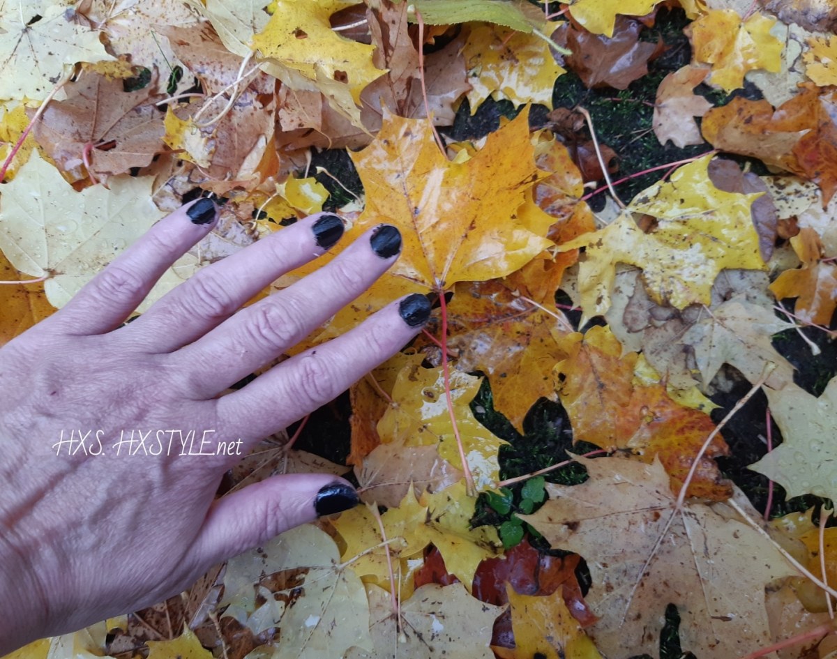 IMG_20191013_094822_916