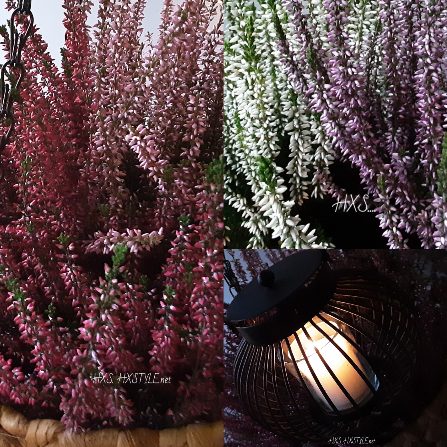 IMG_20191013_172522_716