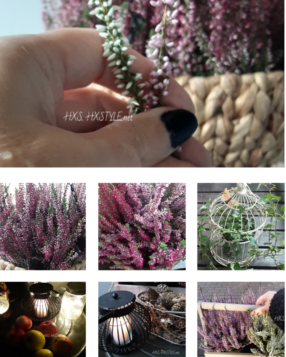 IMG_20191021_164129_052