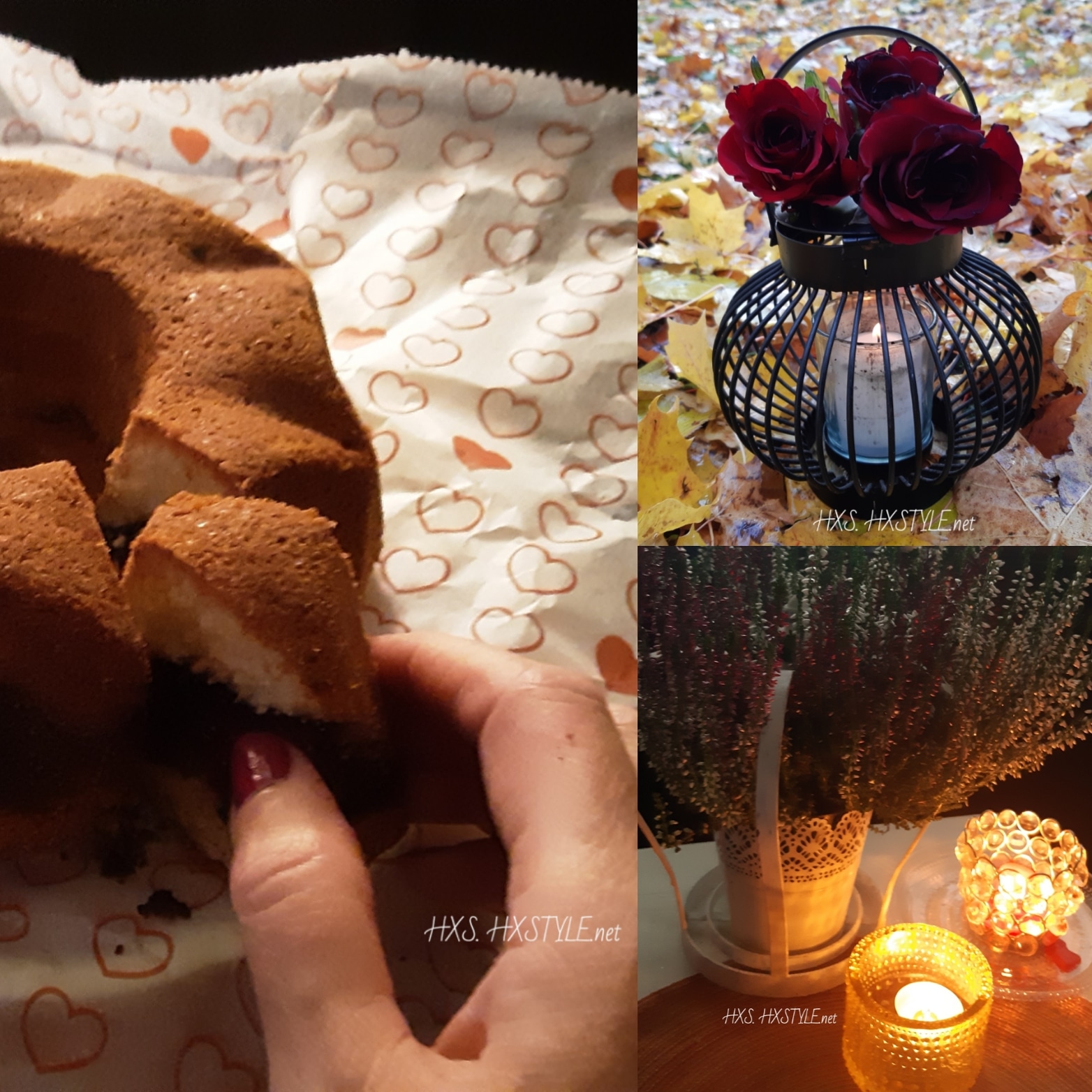 IMG_20191101_094045_479