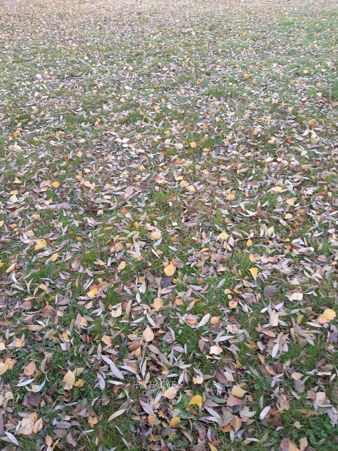 1573577772424