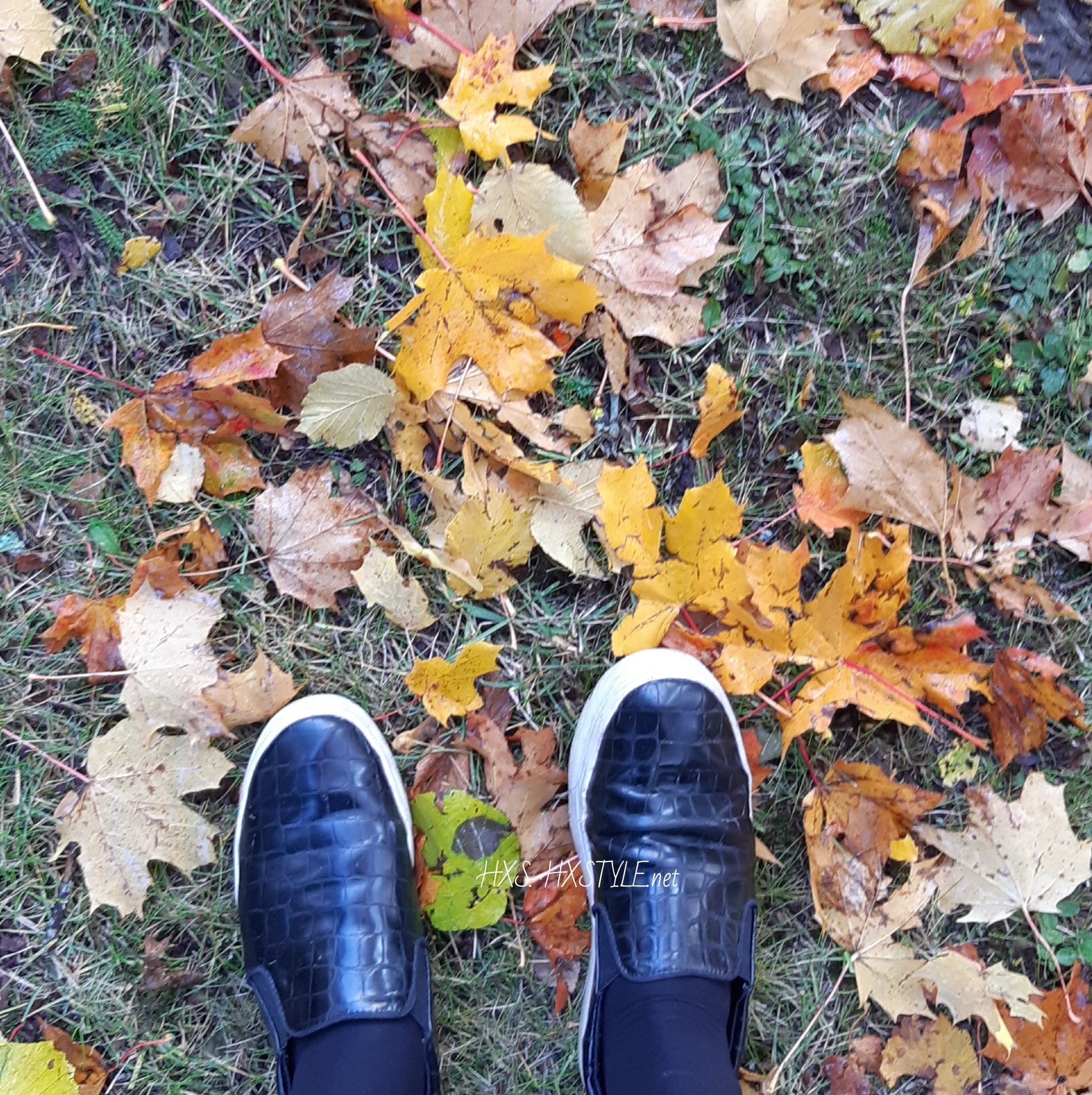 IMG_20191009_093255_340