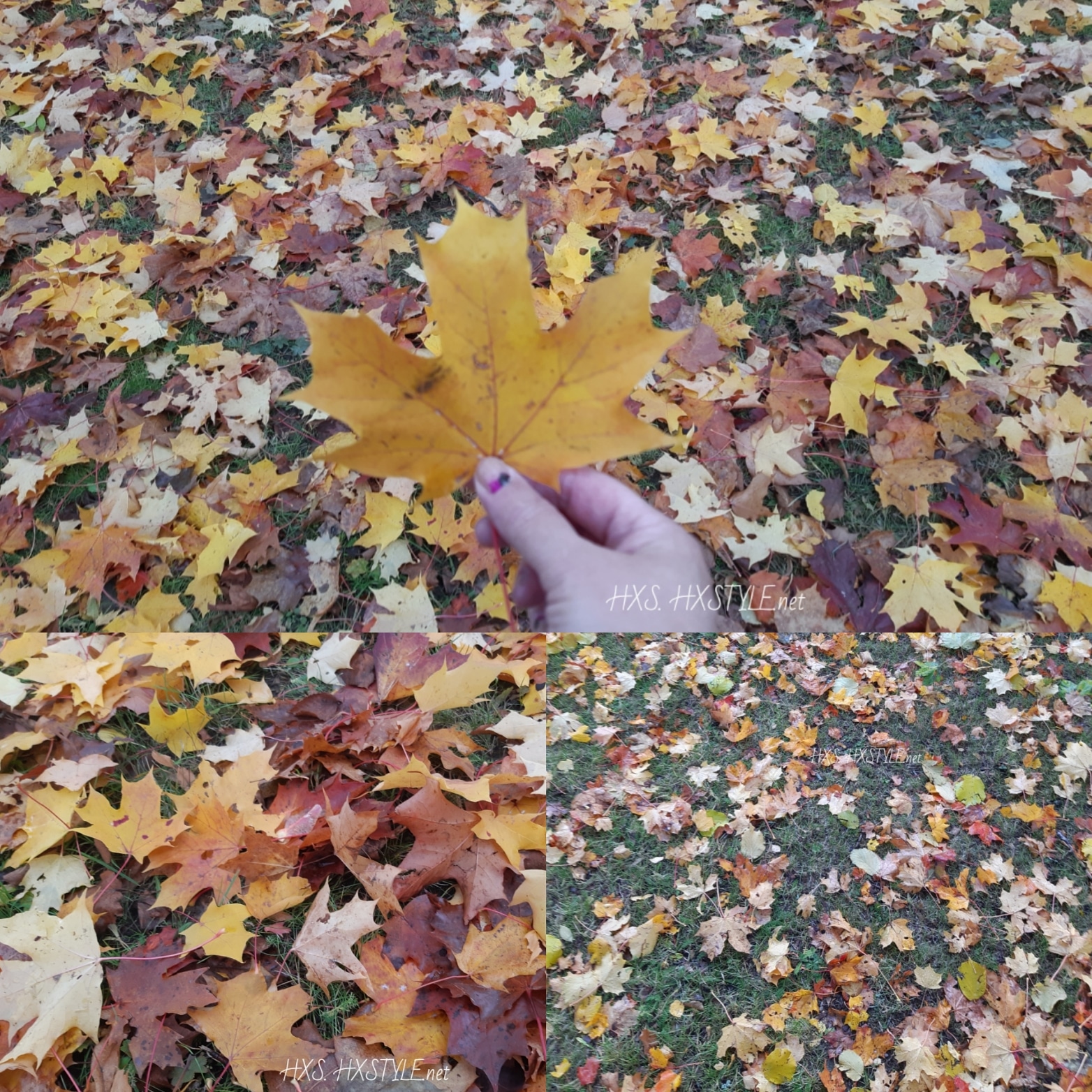 IMG_20191009_095625_286