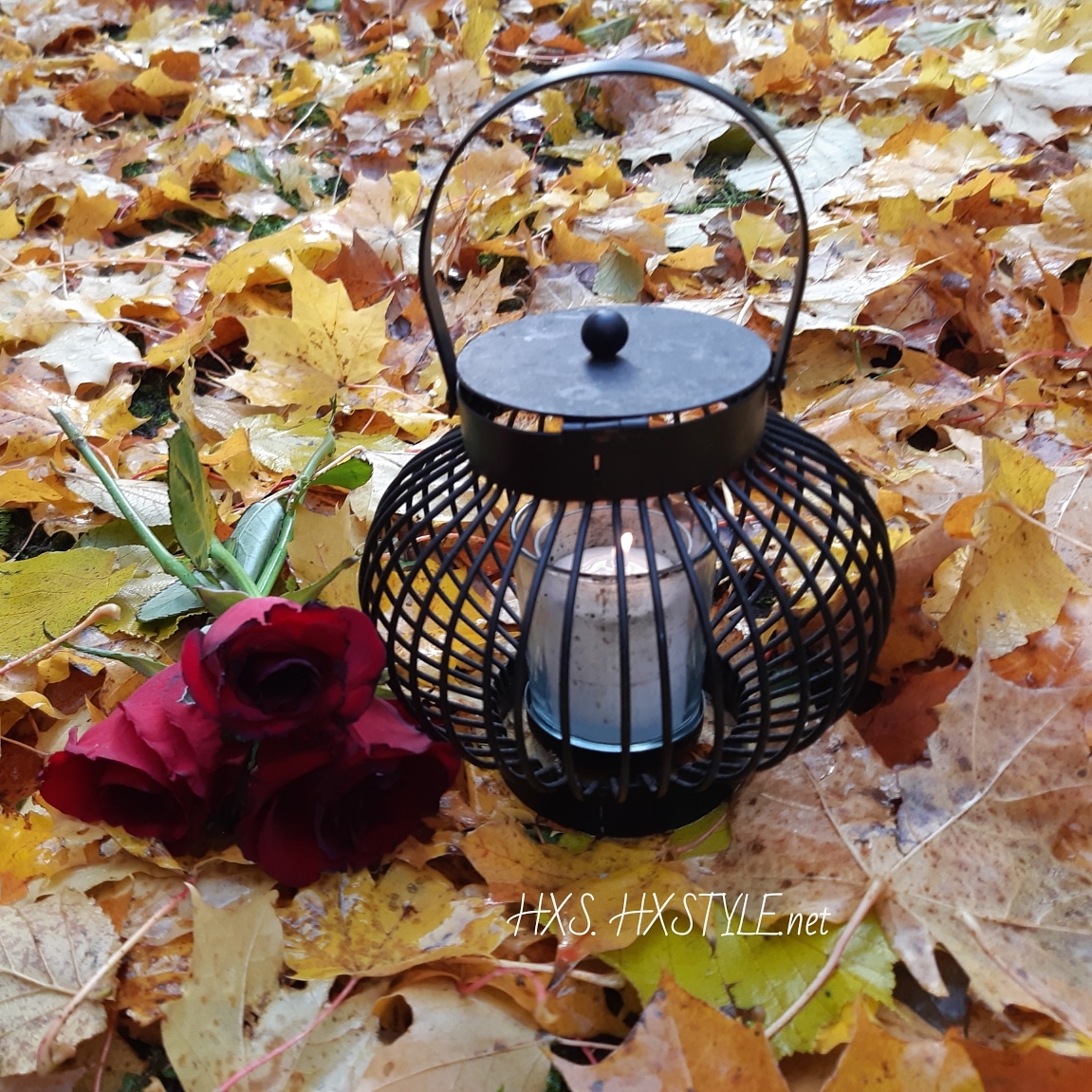 IMG_20191030_085017_255