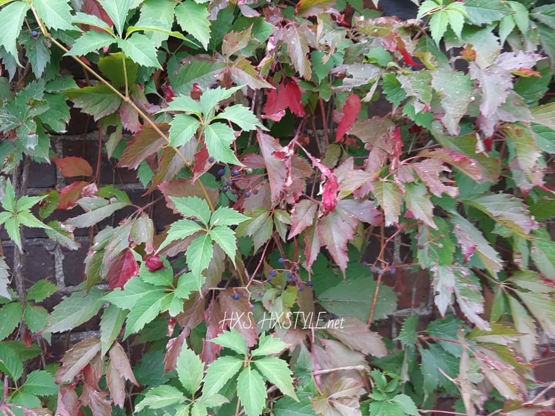 IMG_20191113_090914_760