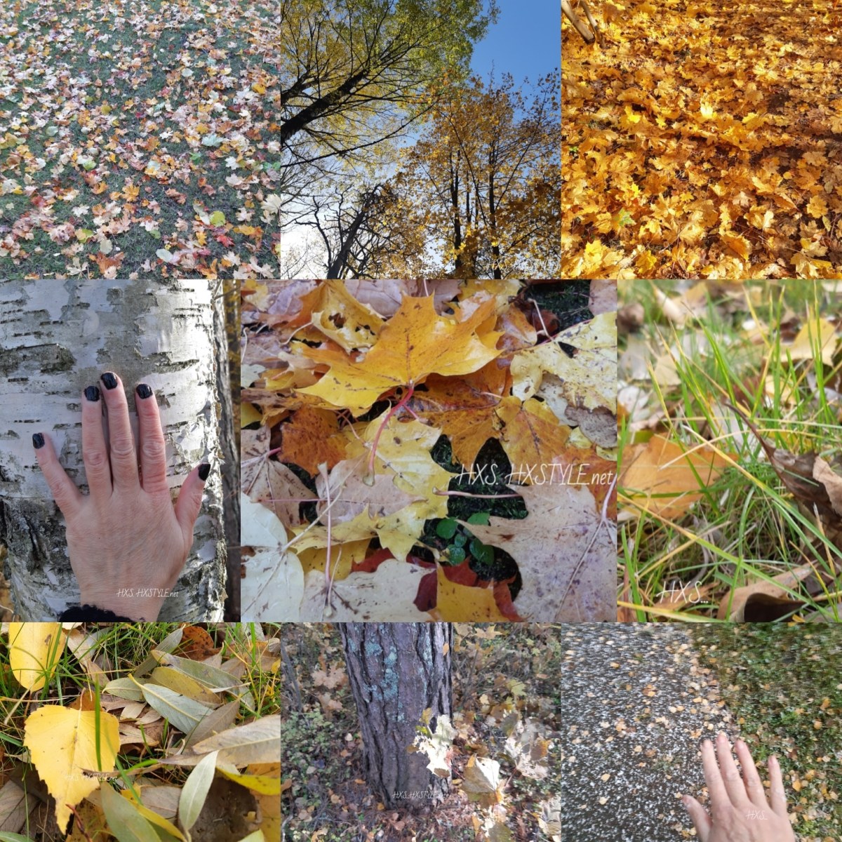 IMG_20191113_184024_251