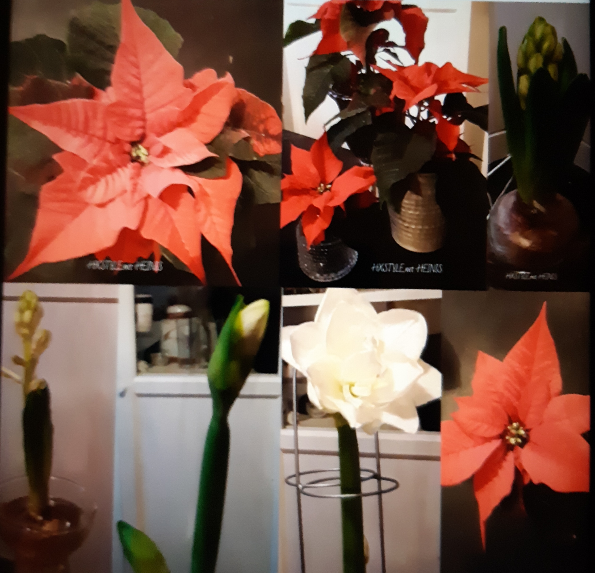 20191201_132133