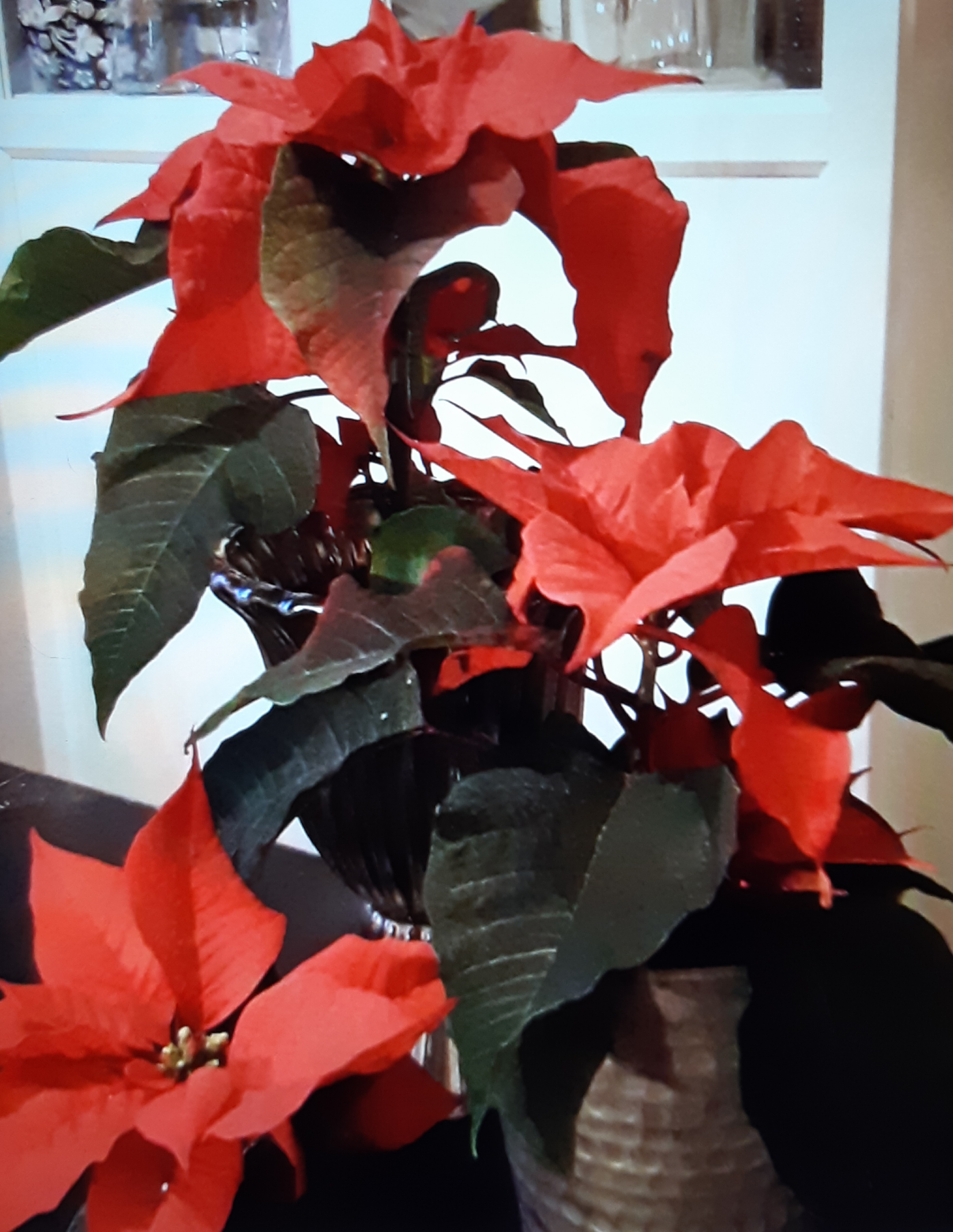 20191202_172755
