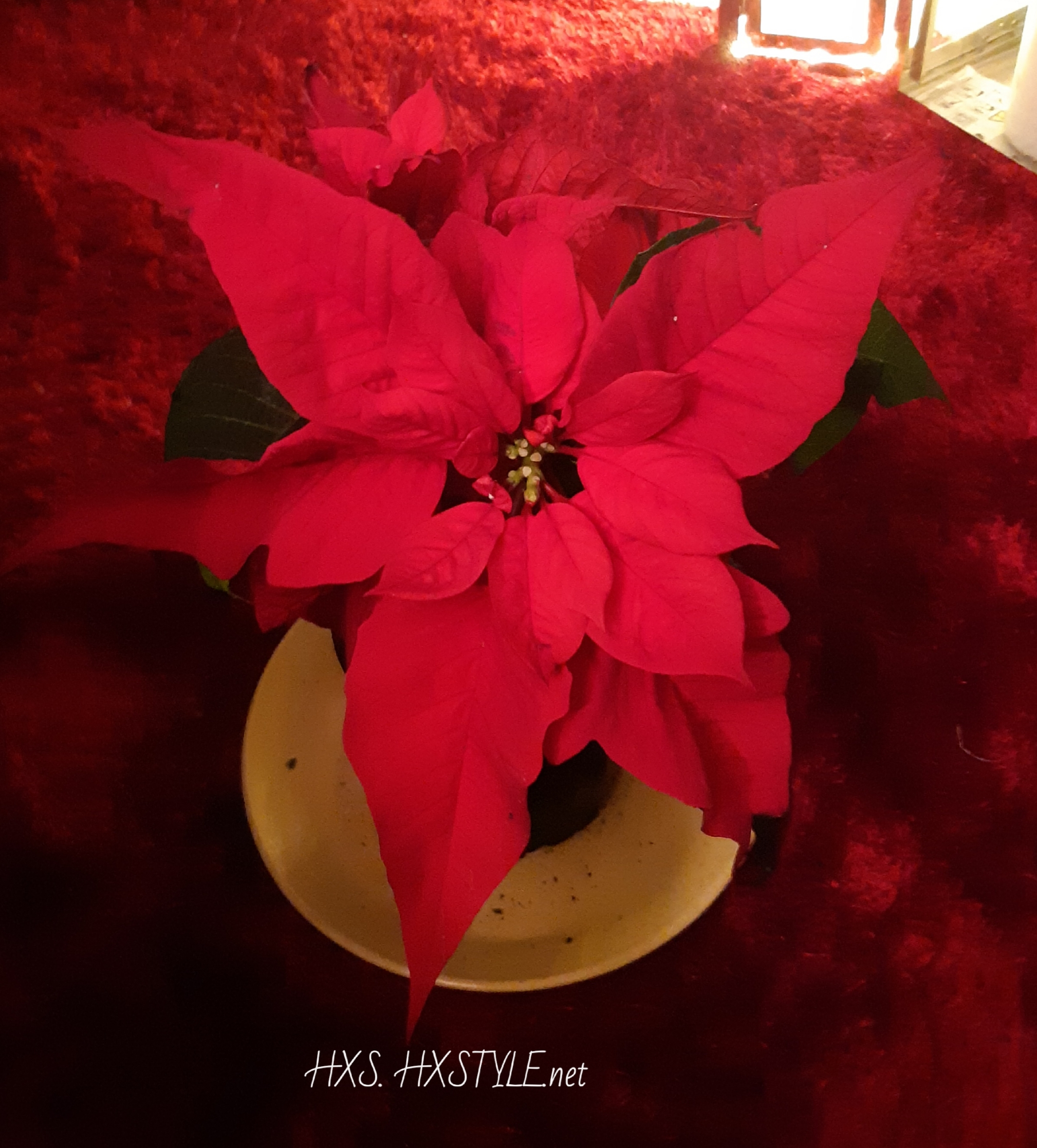 20191222_203340