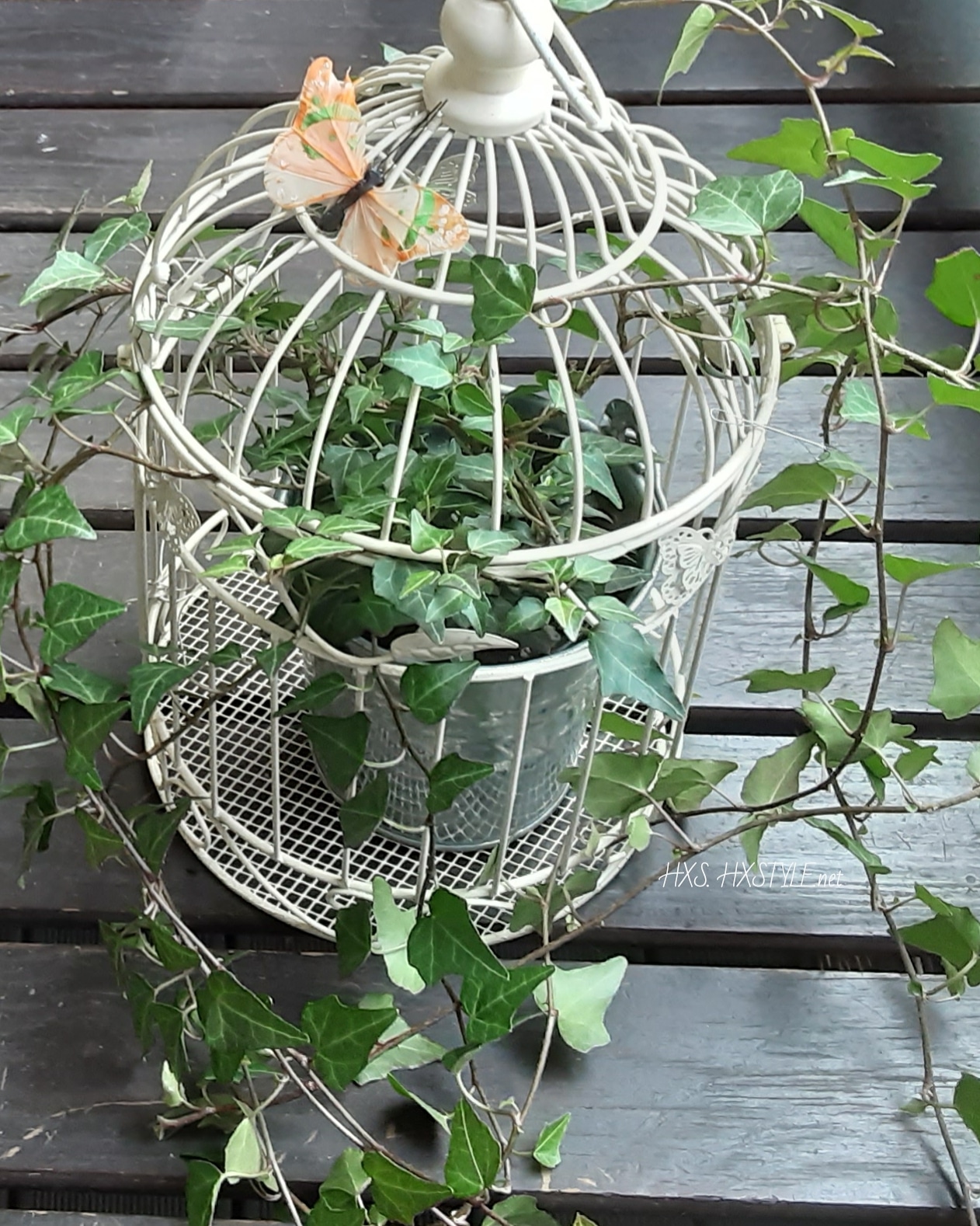 IMG_20191024_114738_256