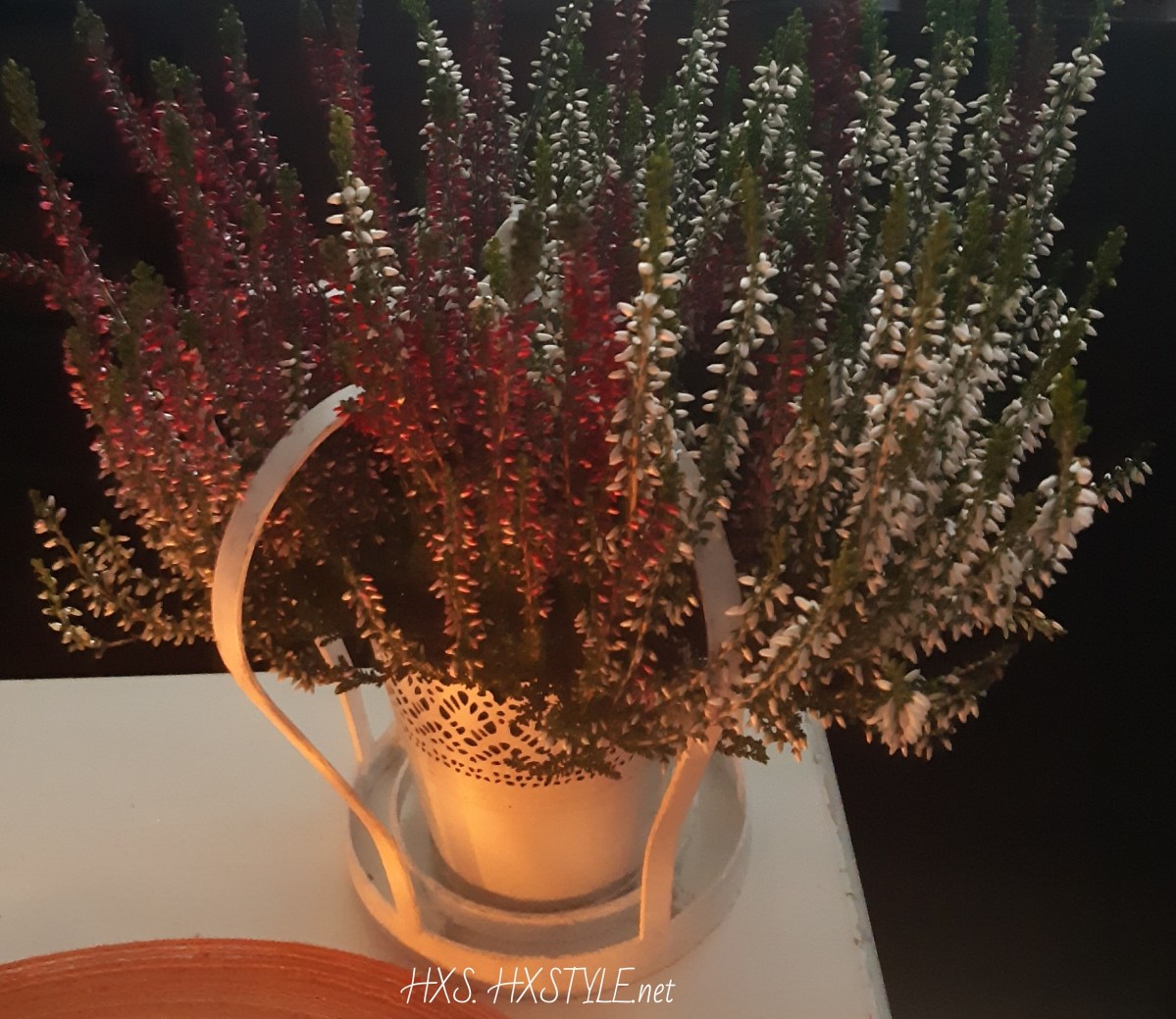 IMG_20191029_151058_860