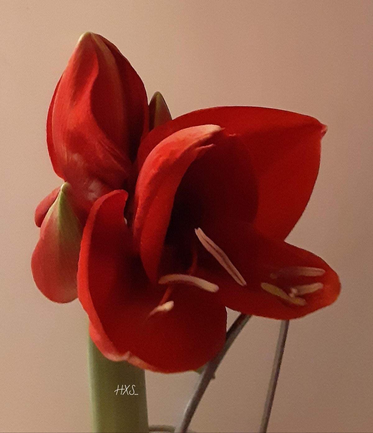 IMG_20191215_114605_314