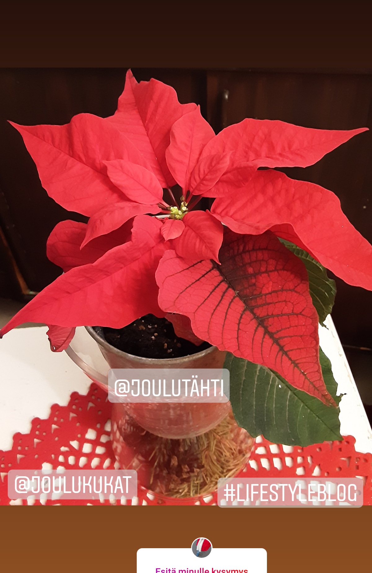 IMG_20191215_202828_773