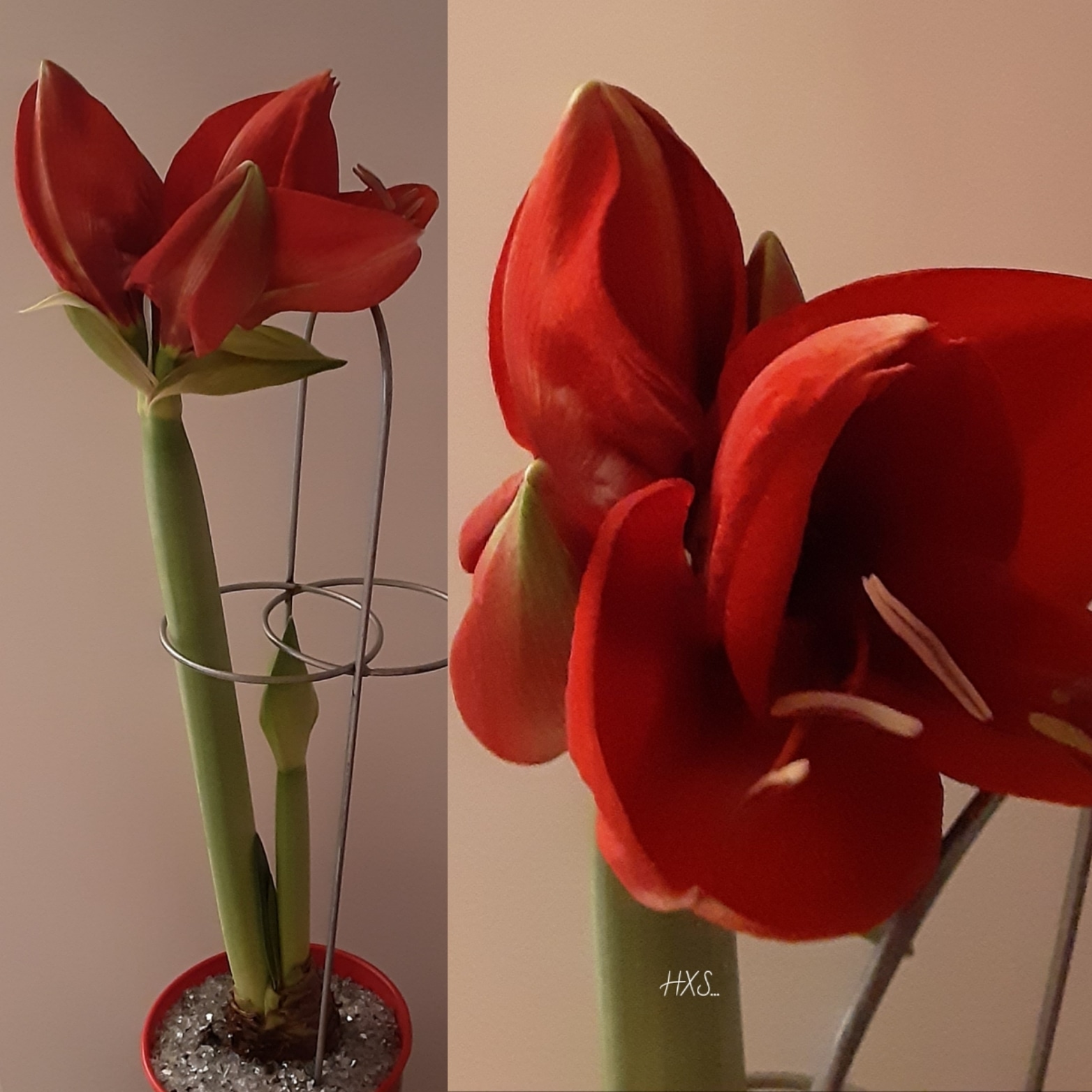 IMG_20191216_161609_049