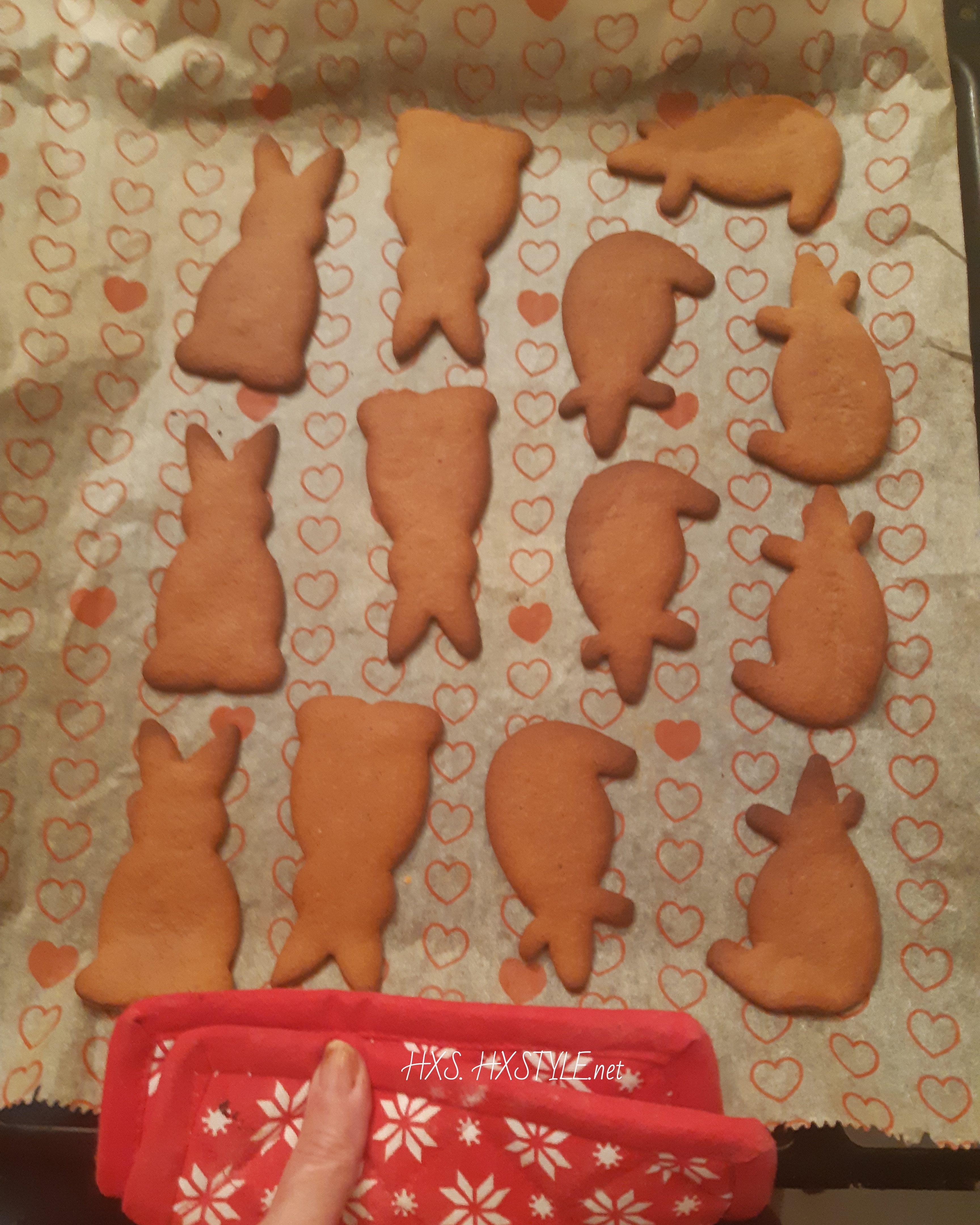 IMG_20191216_200959_158