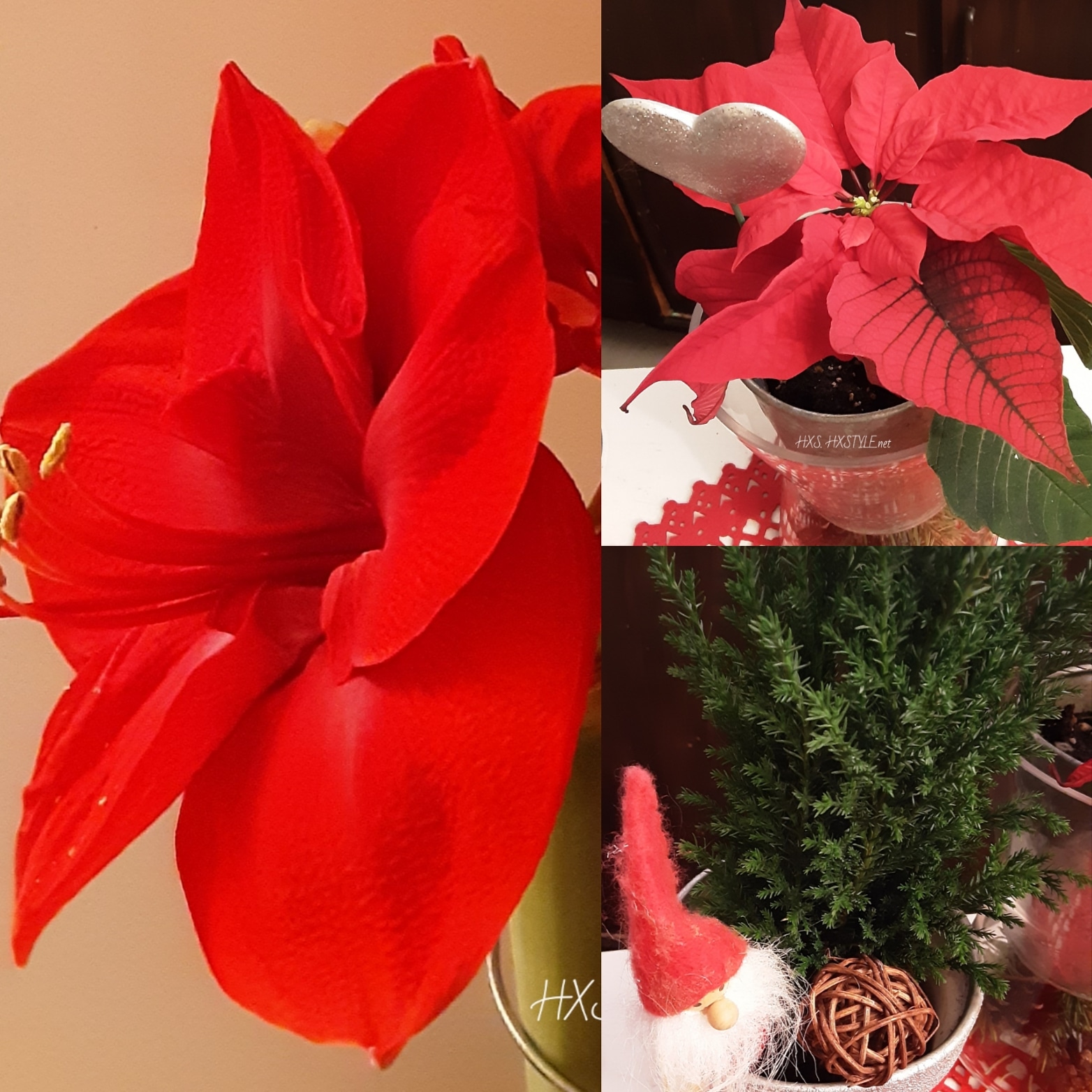 IMG_20191217_192110_785