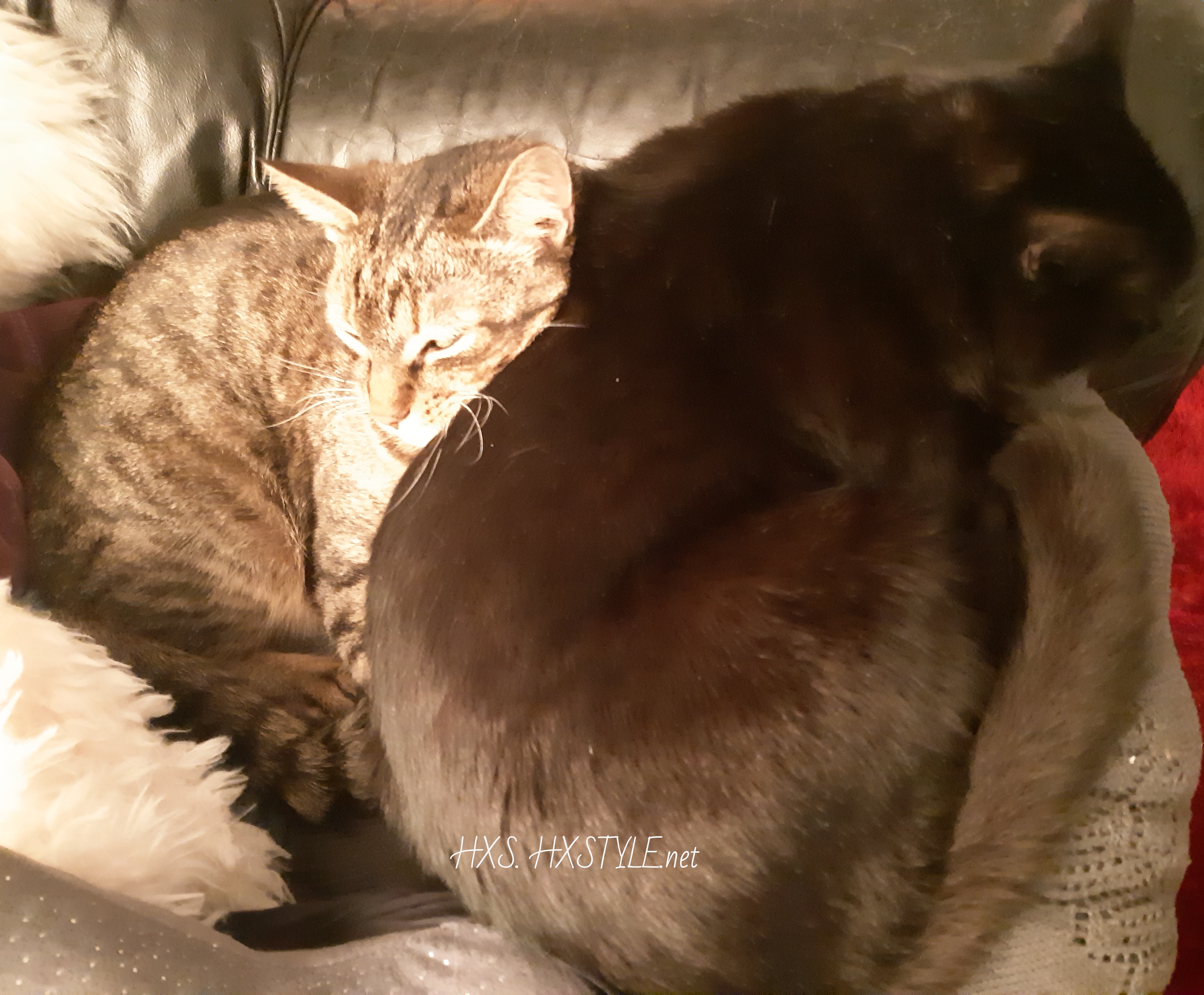 IMG_20191224_111458_517