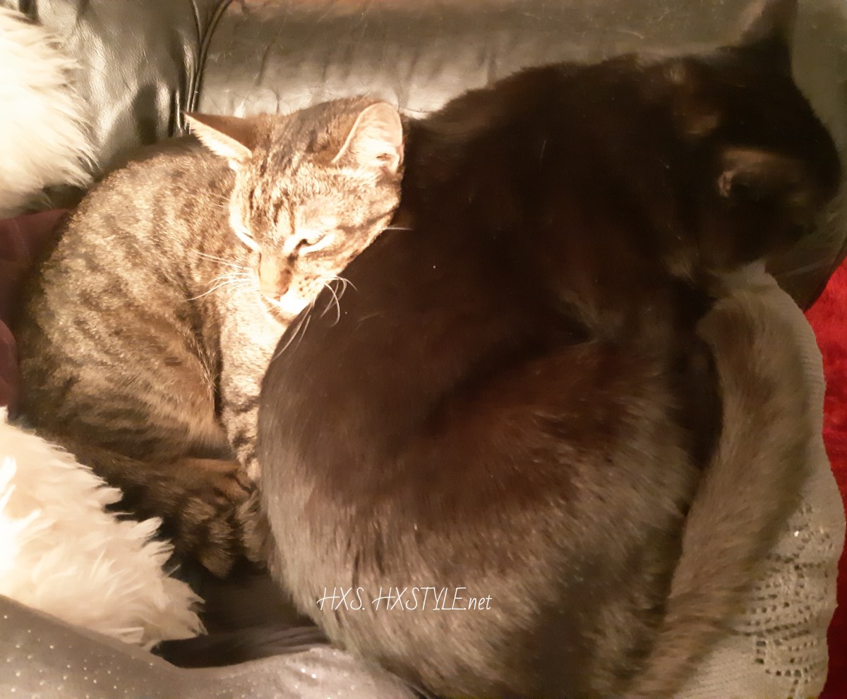 IMG_20191224_111458_517