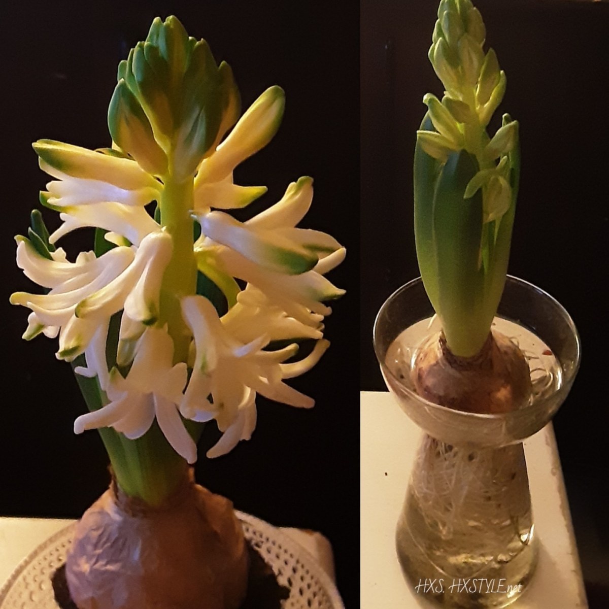 IMG_20191224_171917_938