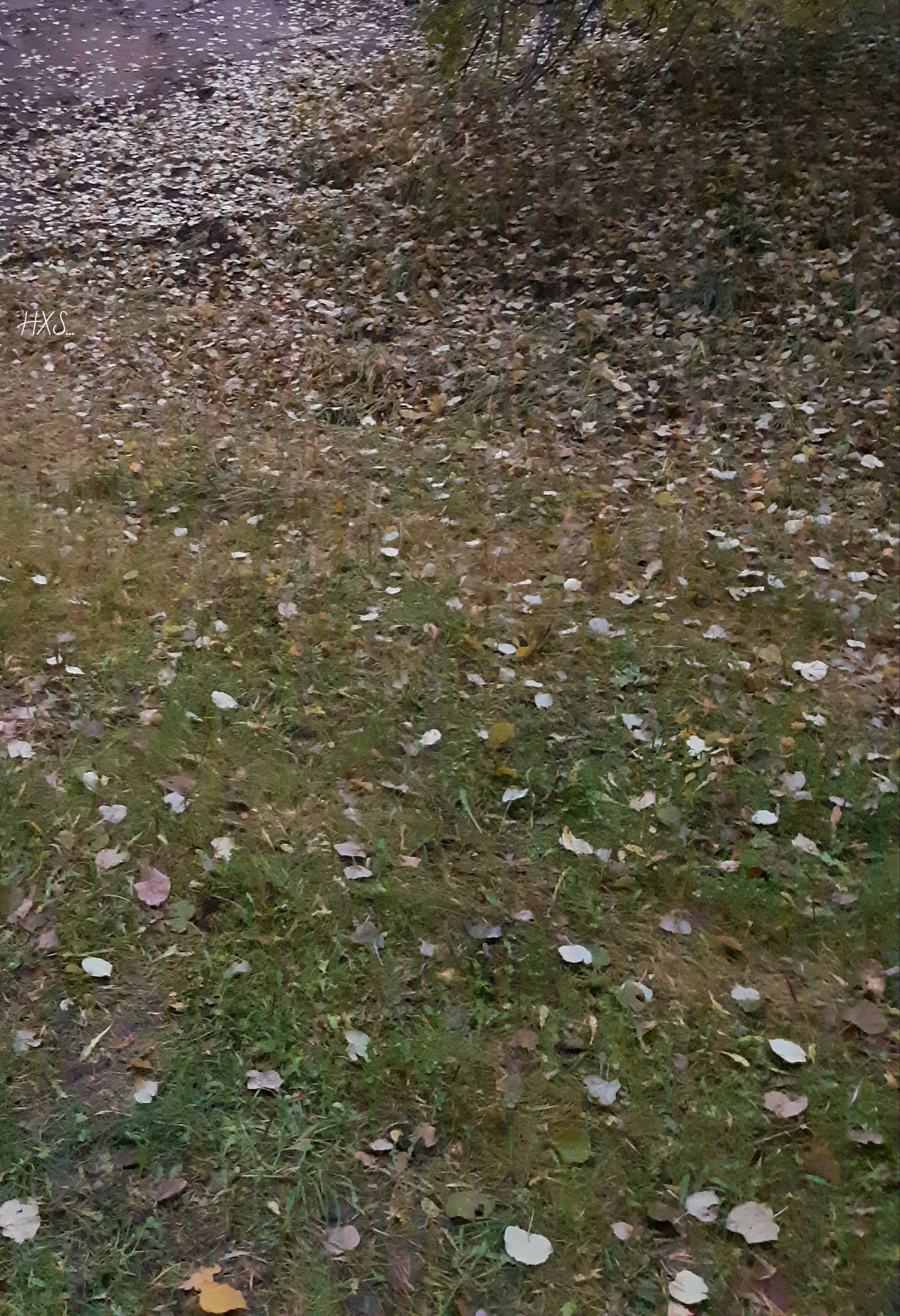 1580637174475