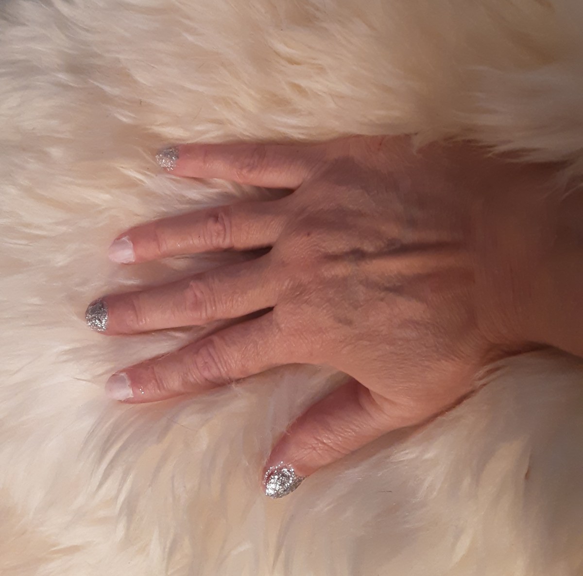 IMG_20200202_104813_924