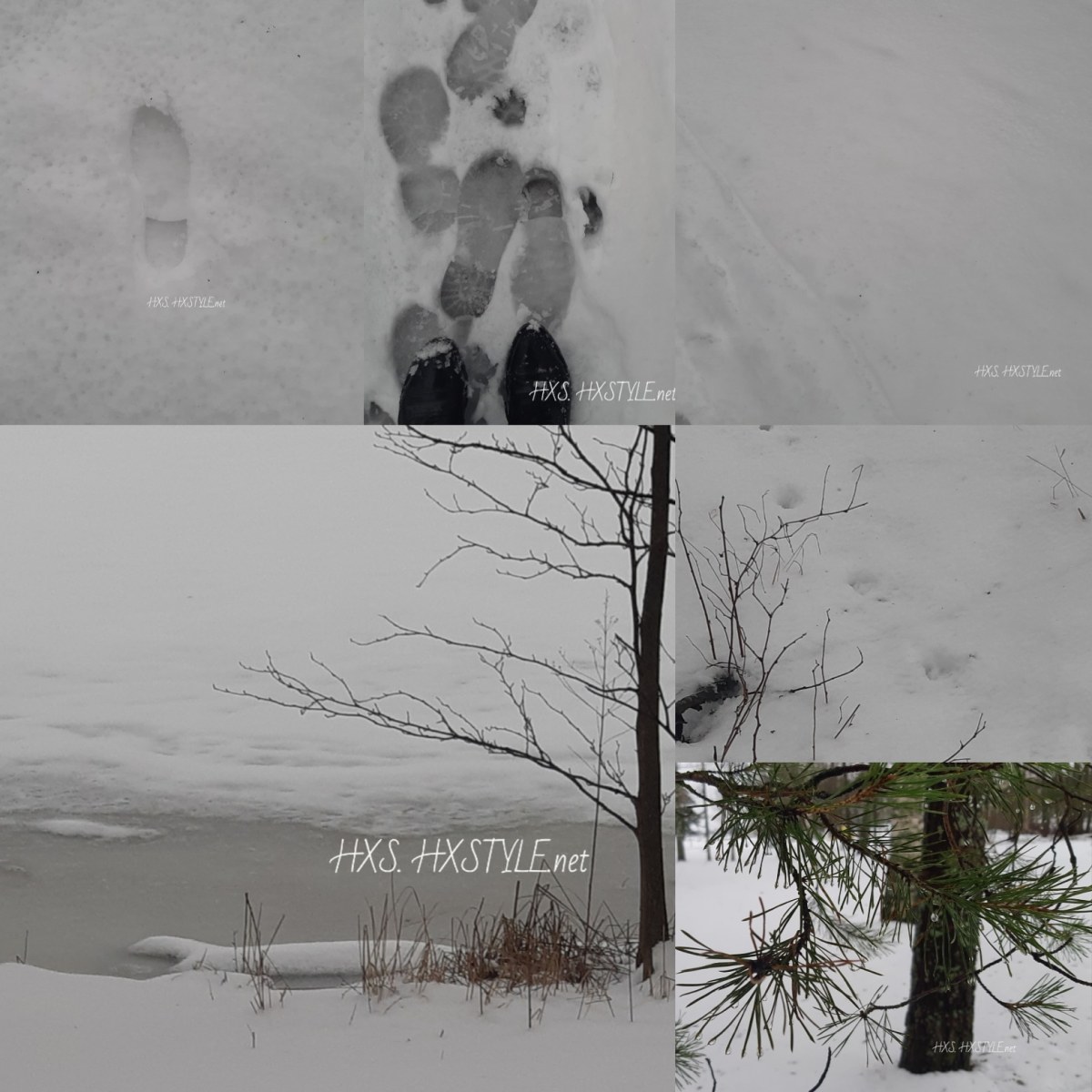 IMG_20200203_190829_155