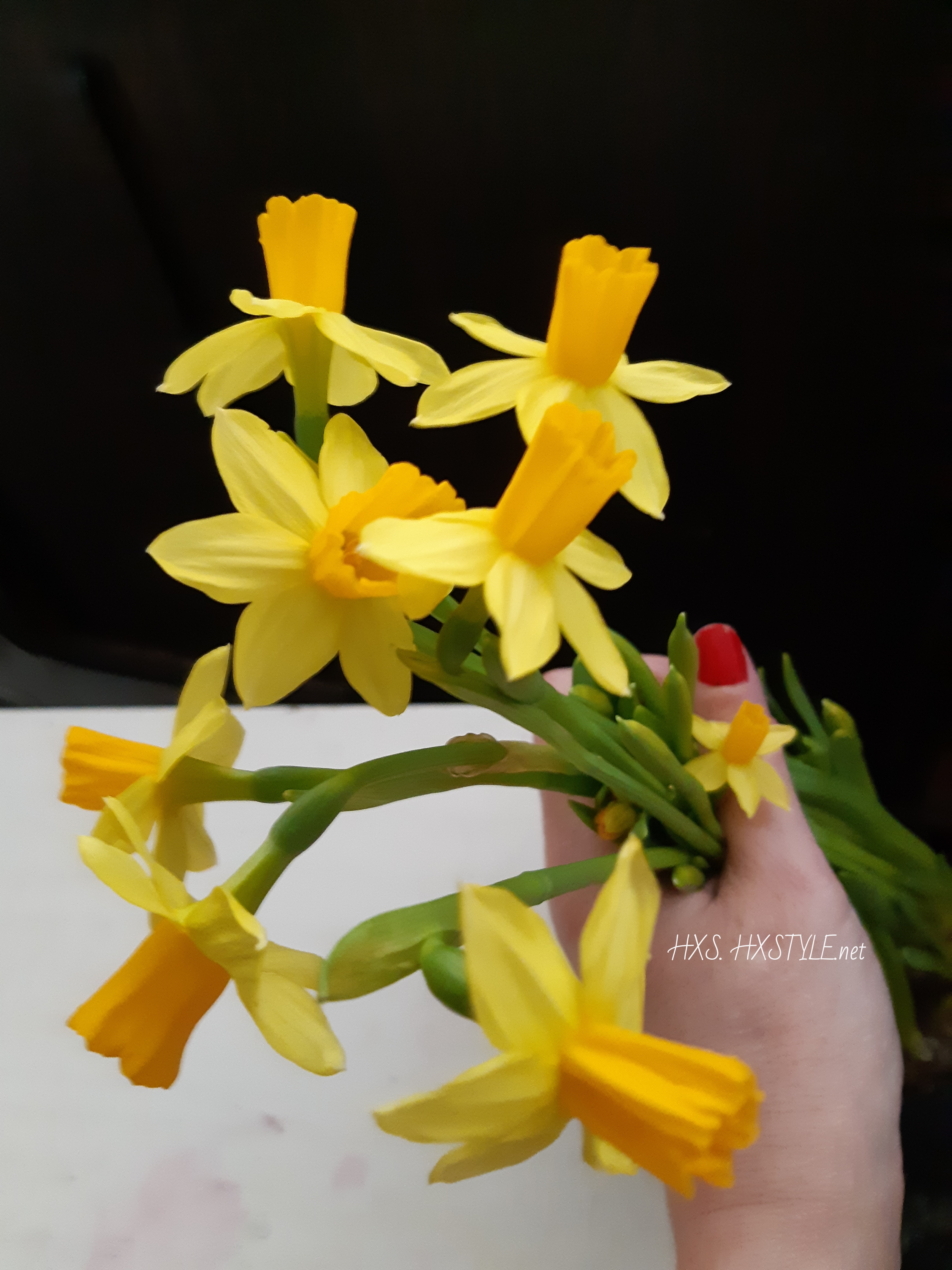 1584804624553