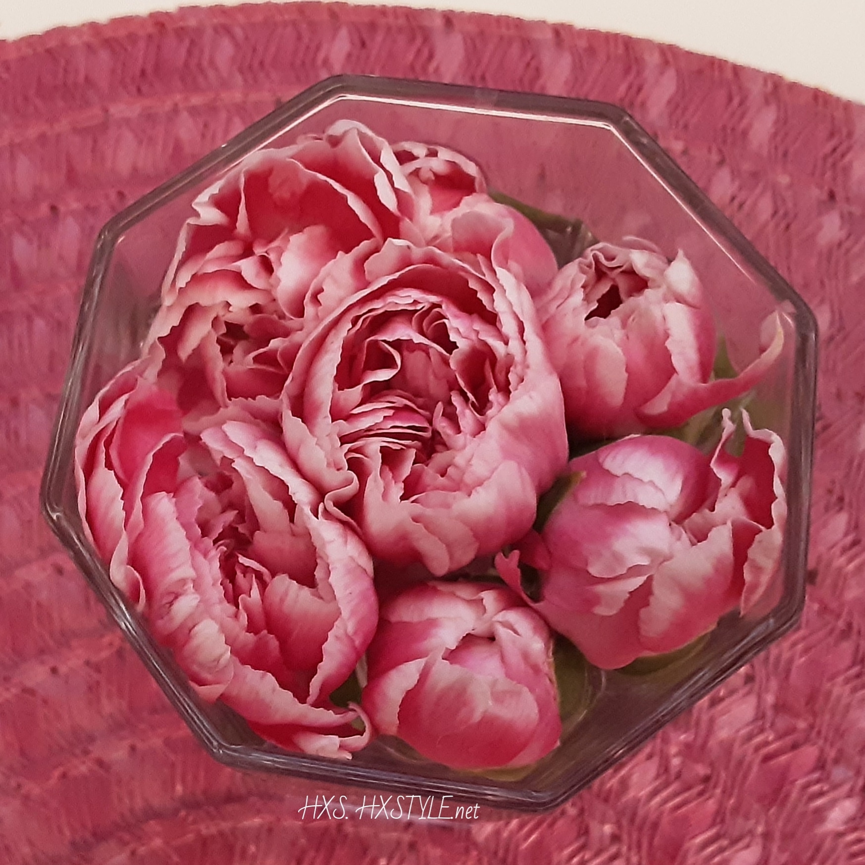 IMG_20200224_101740_345