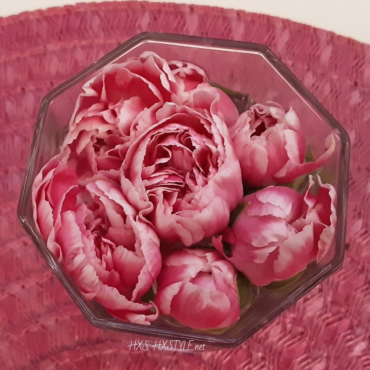 IMG_20200224_101740_345