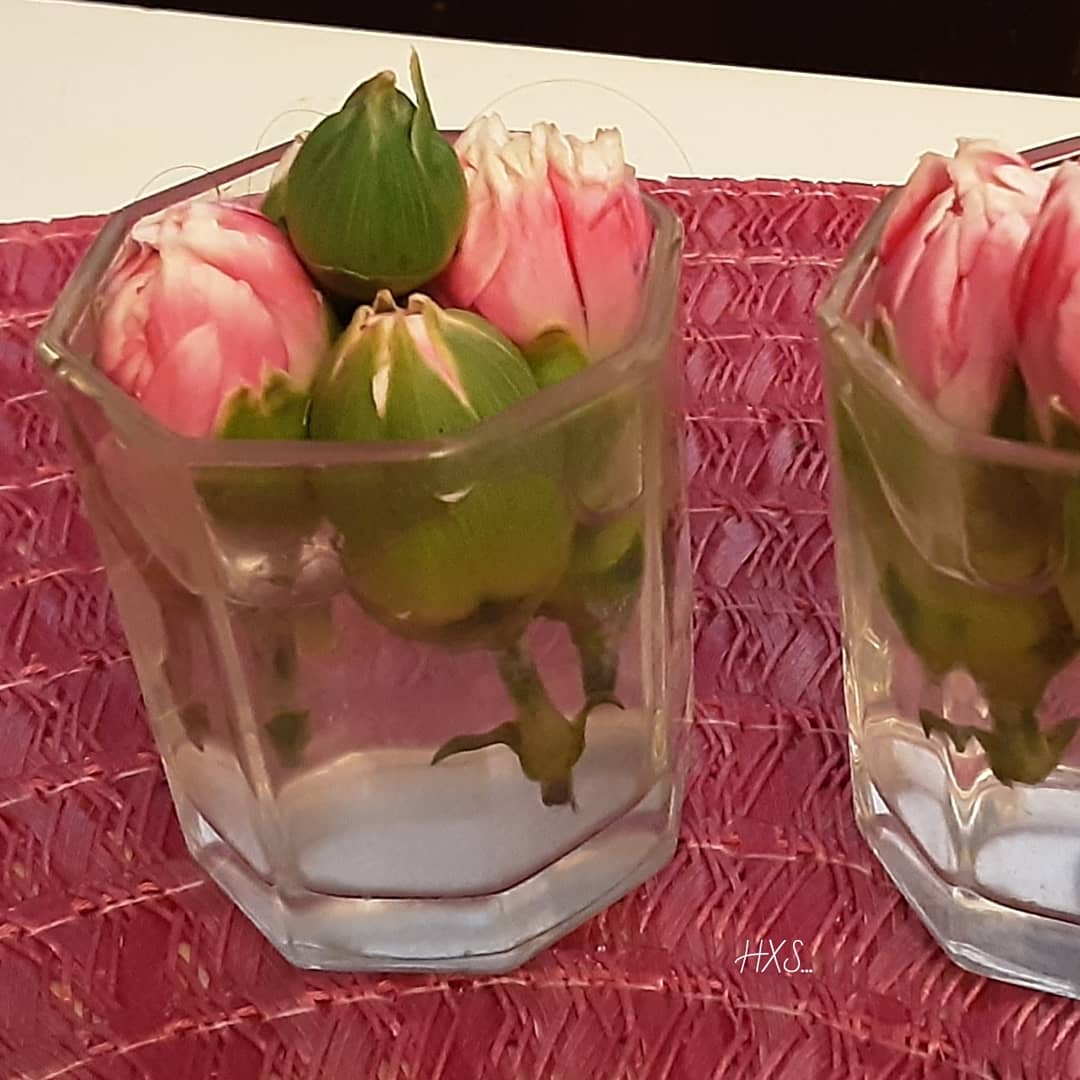 IMG_20200224_102306_488